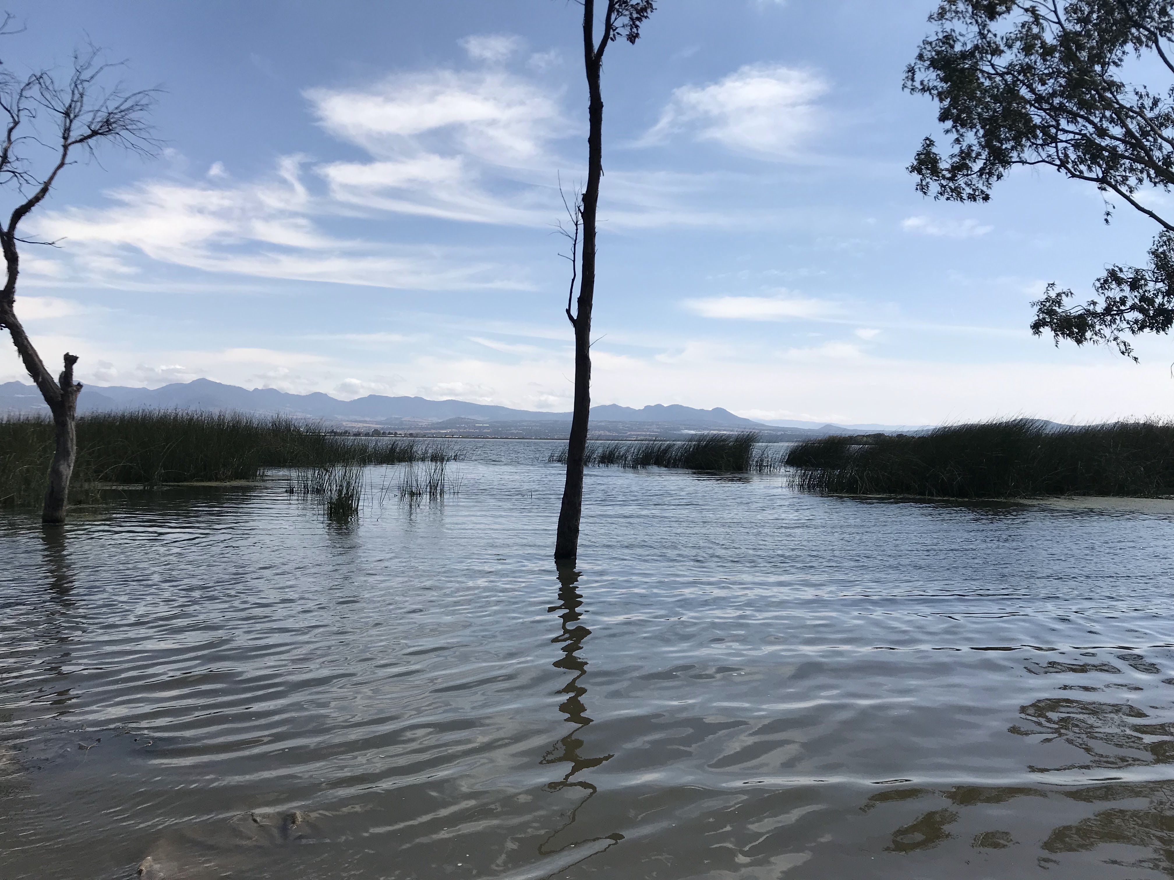 Cabañas "El Apache" image 4