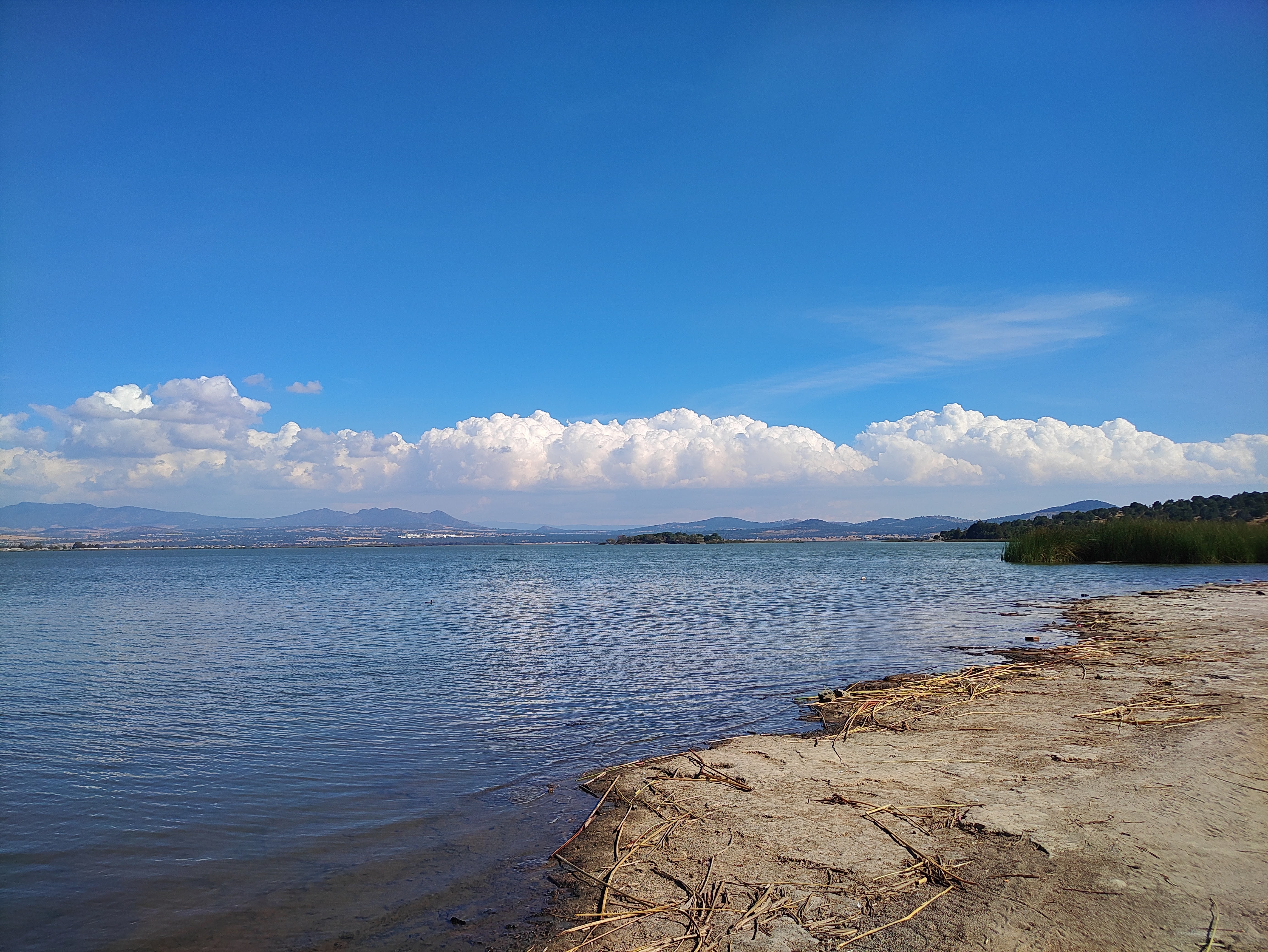 Cabañas "El Apache" image 6
