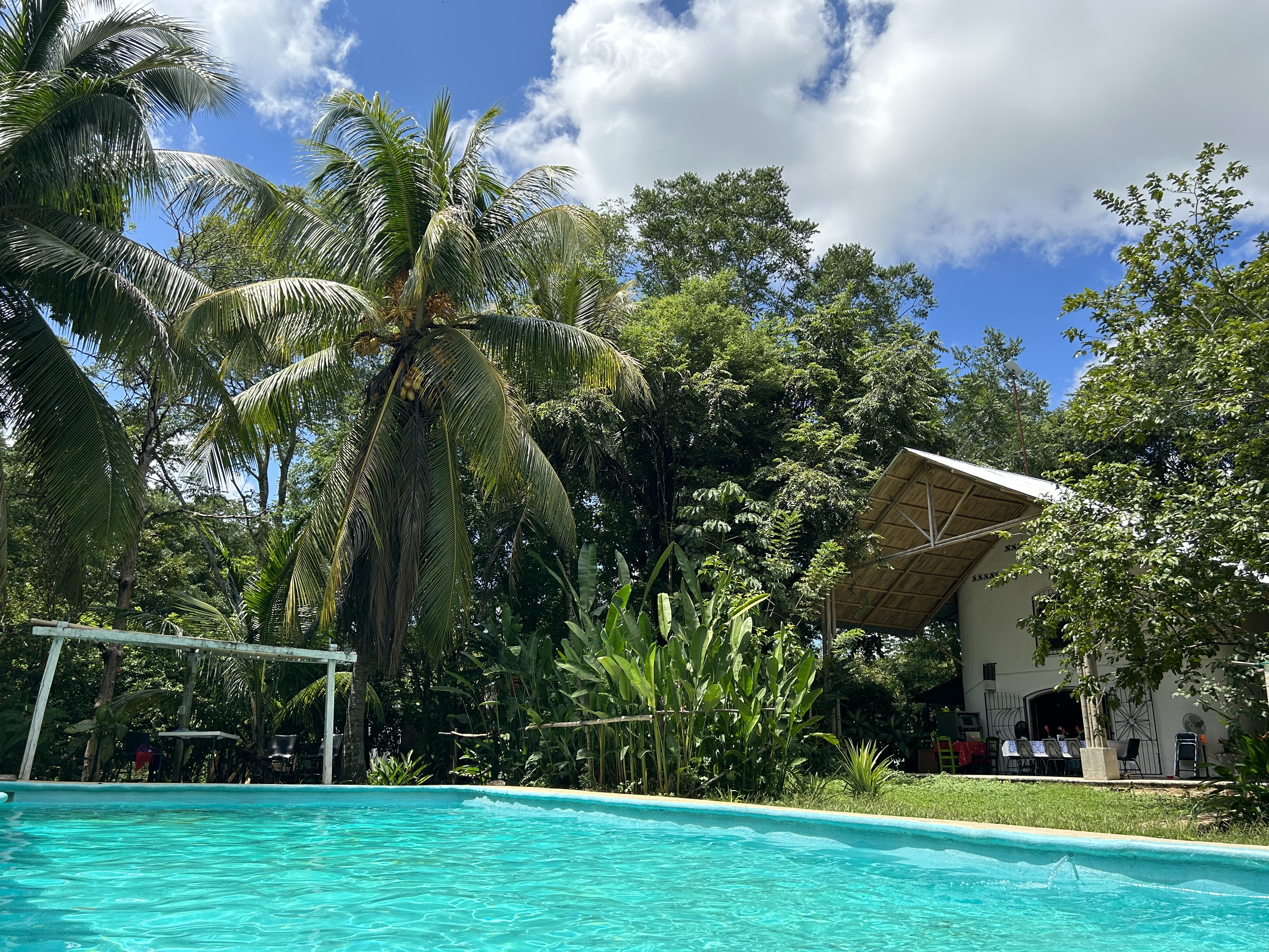 mandalita café image 1