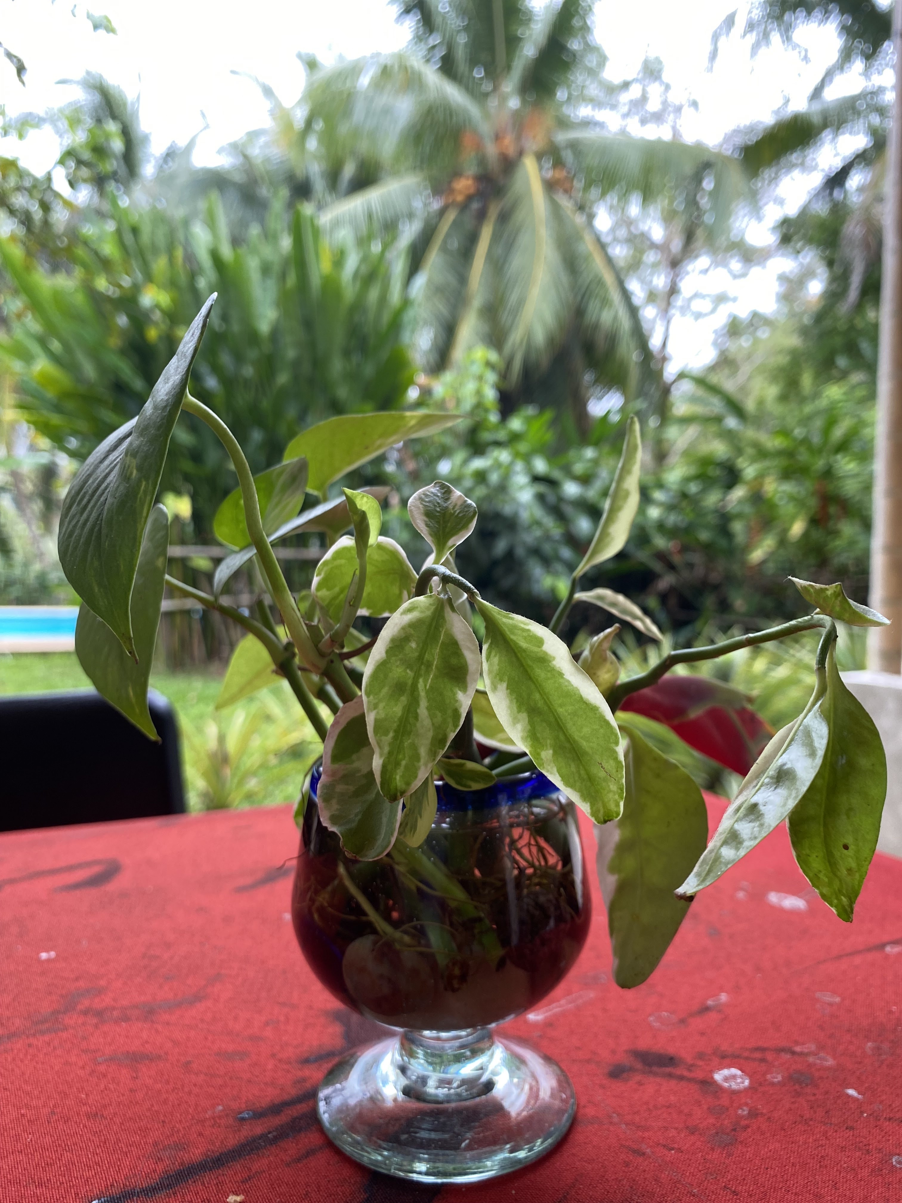 mandalita café image 5