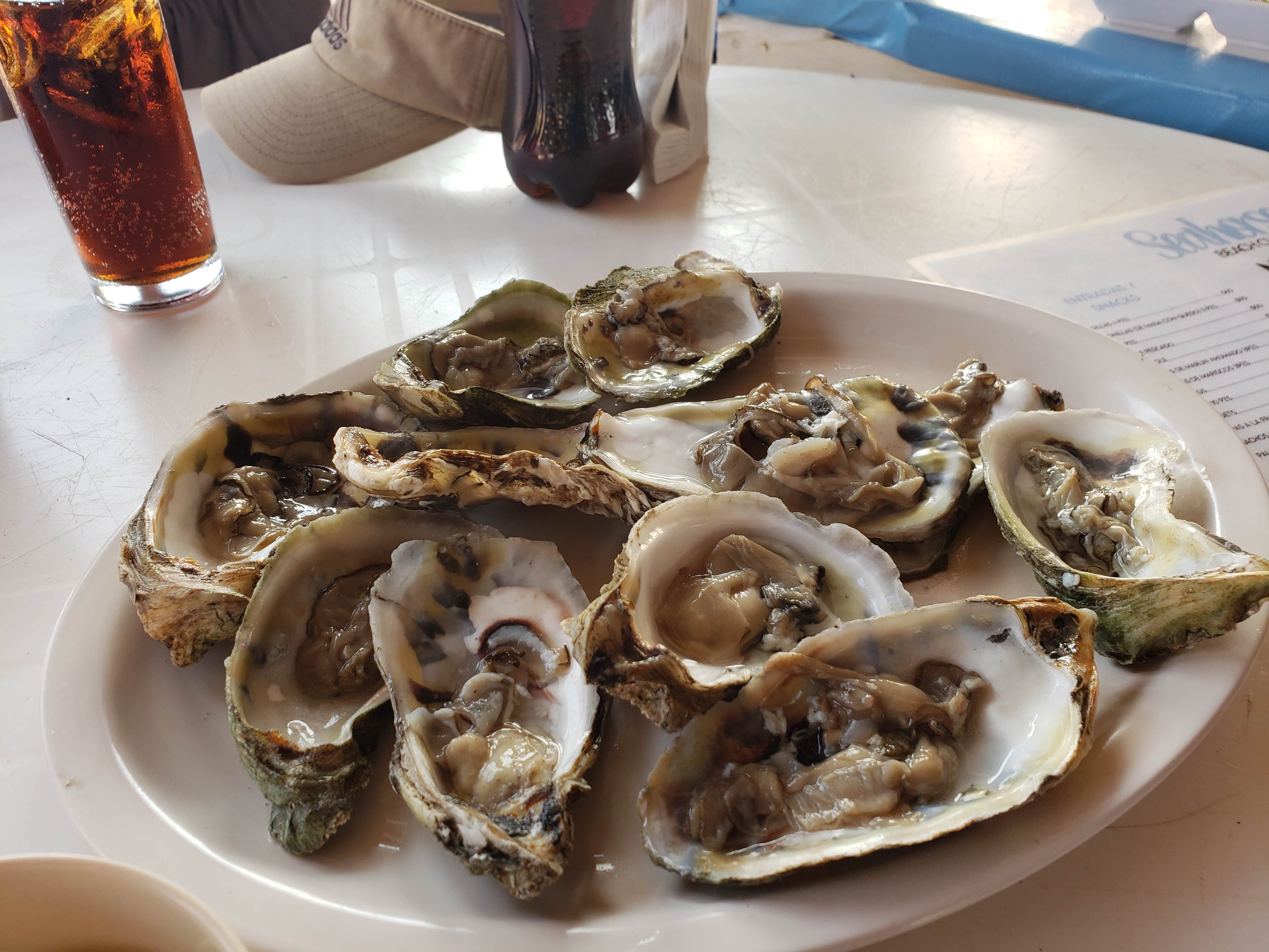 Seahorse beachclub image 1