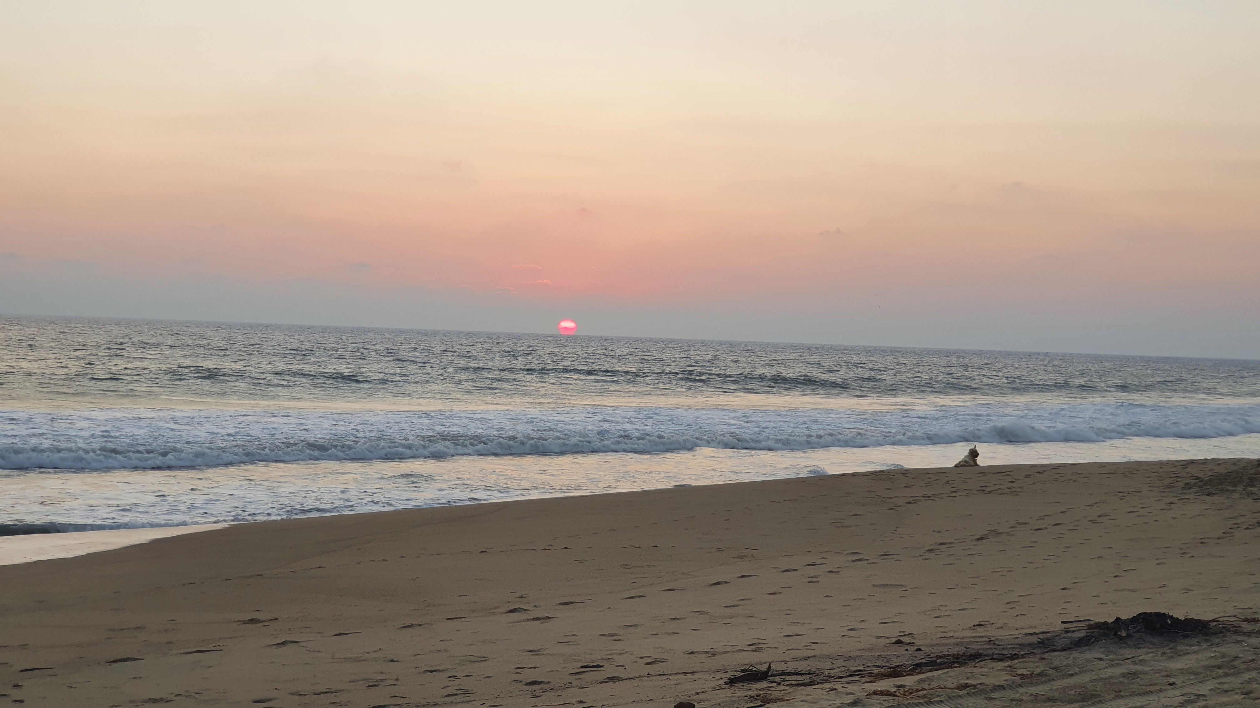 Seahorse beachclub image 2