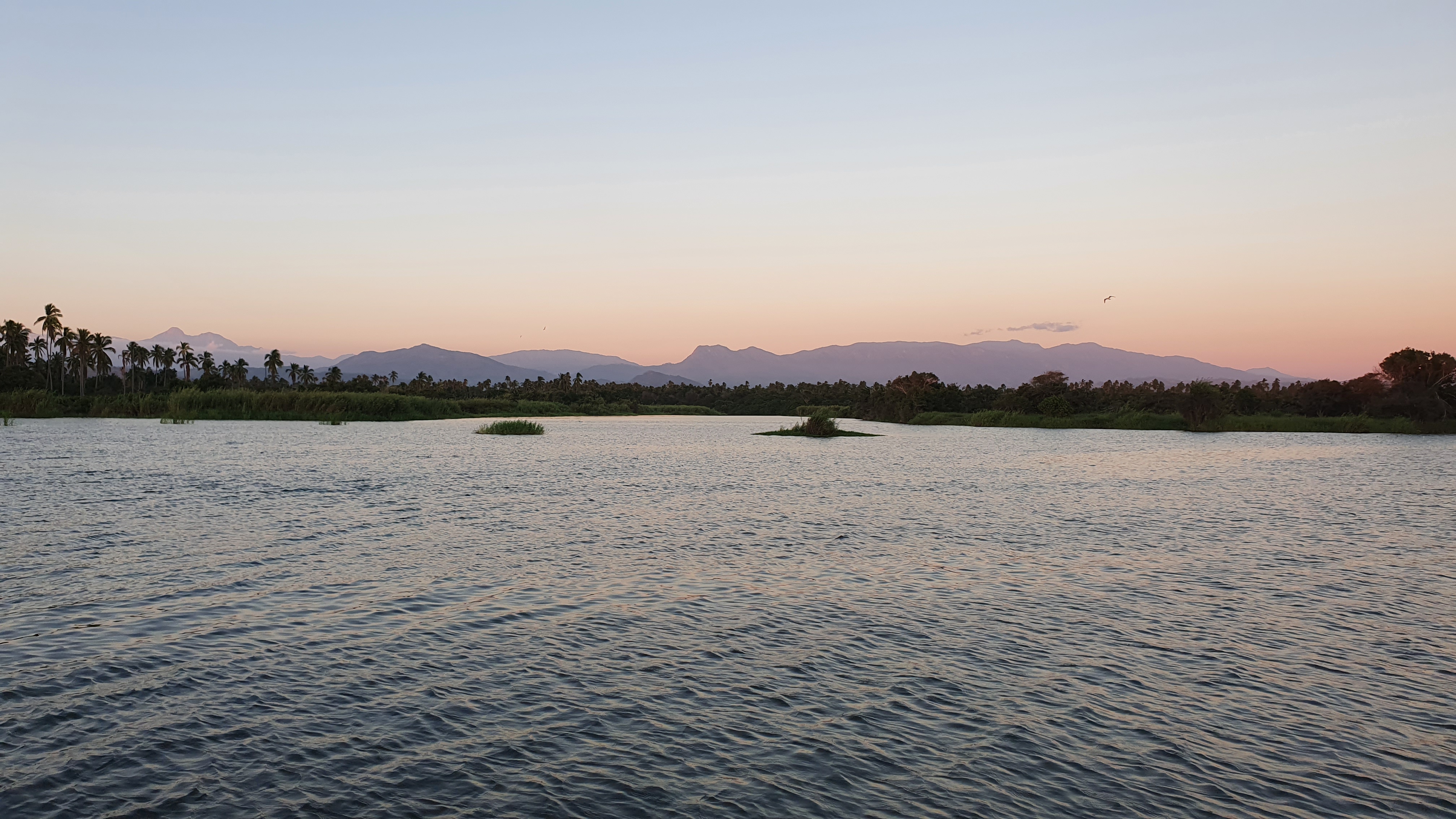 Seahorse beachclub image 4