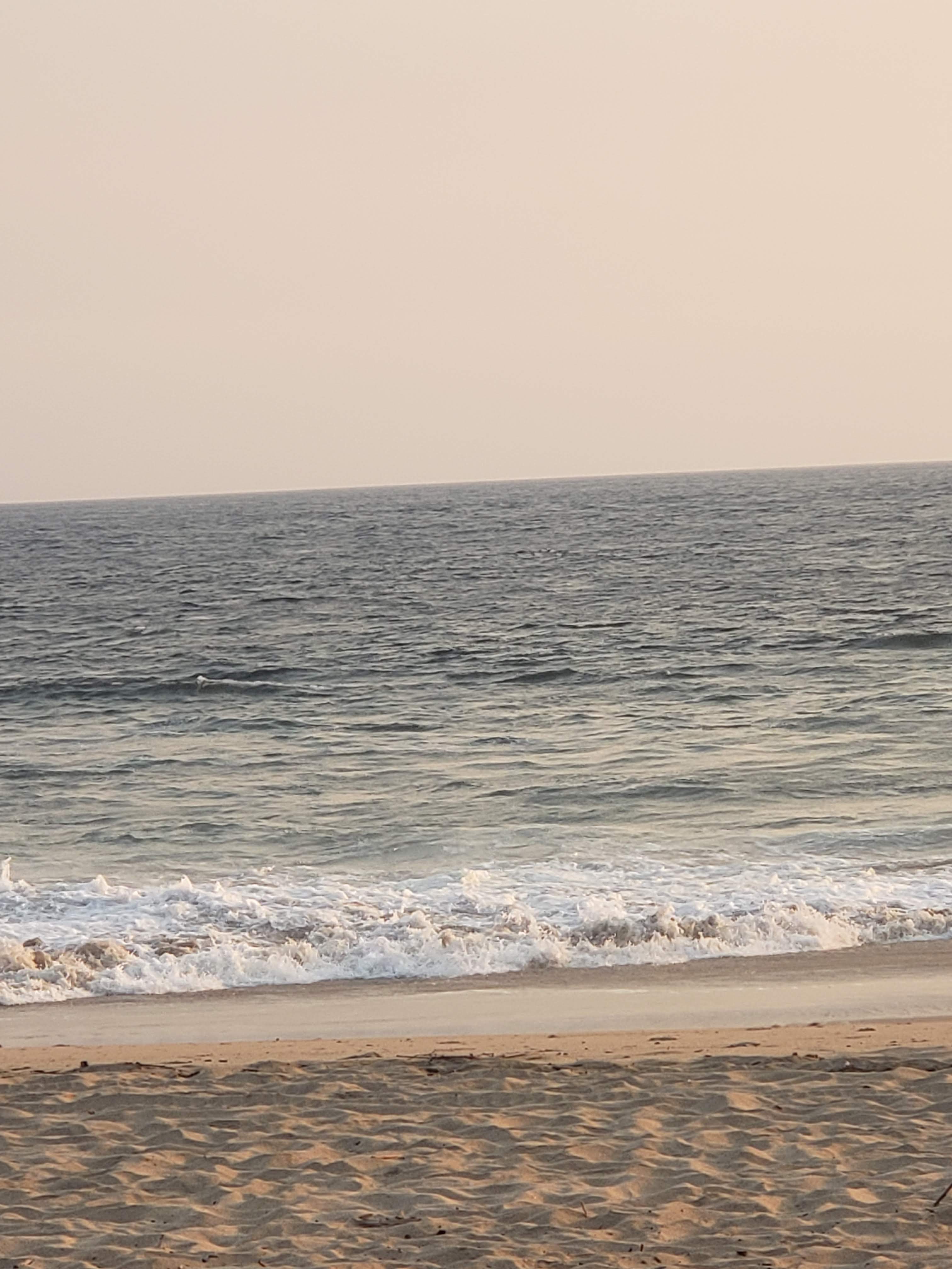 Seahorse beachclub image 6