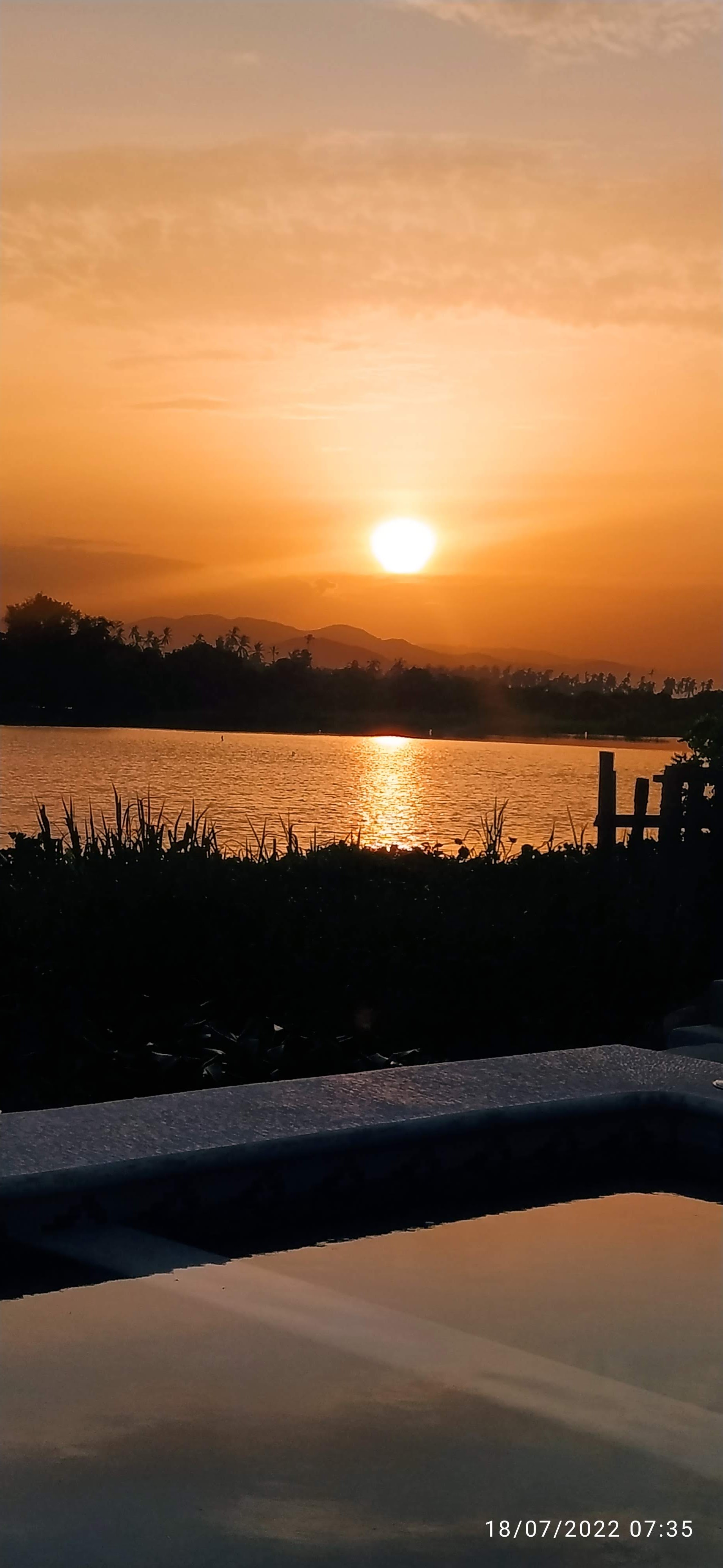 Seahorse beachclub image 10