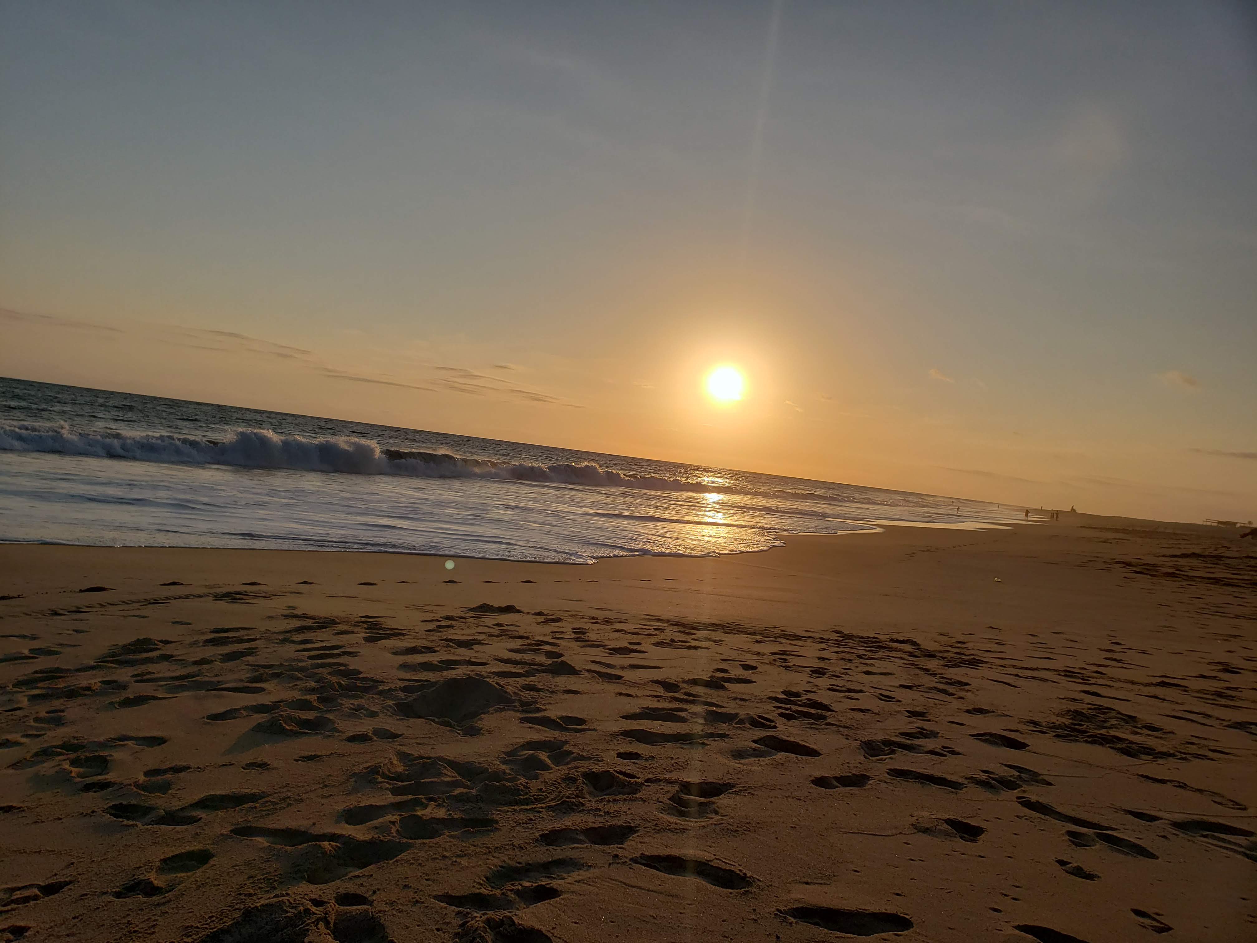 La Flor De La Barra image 4