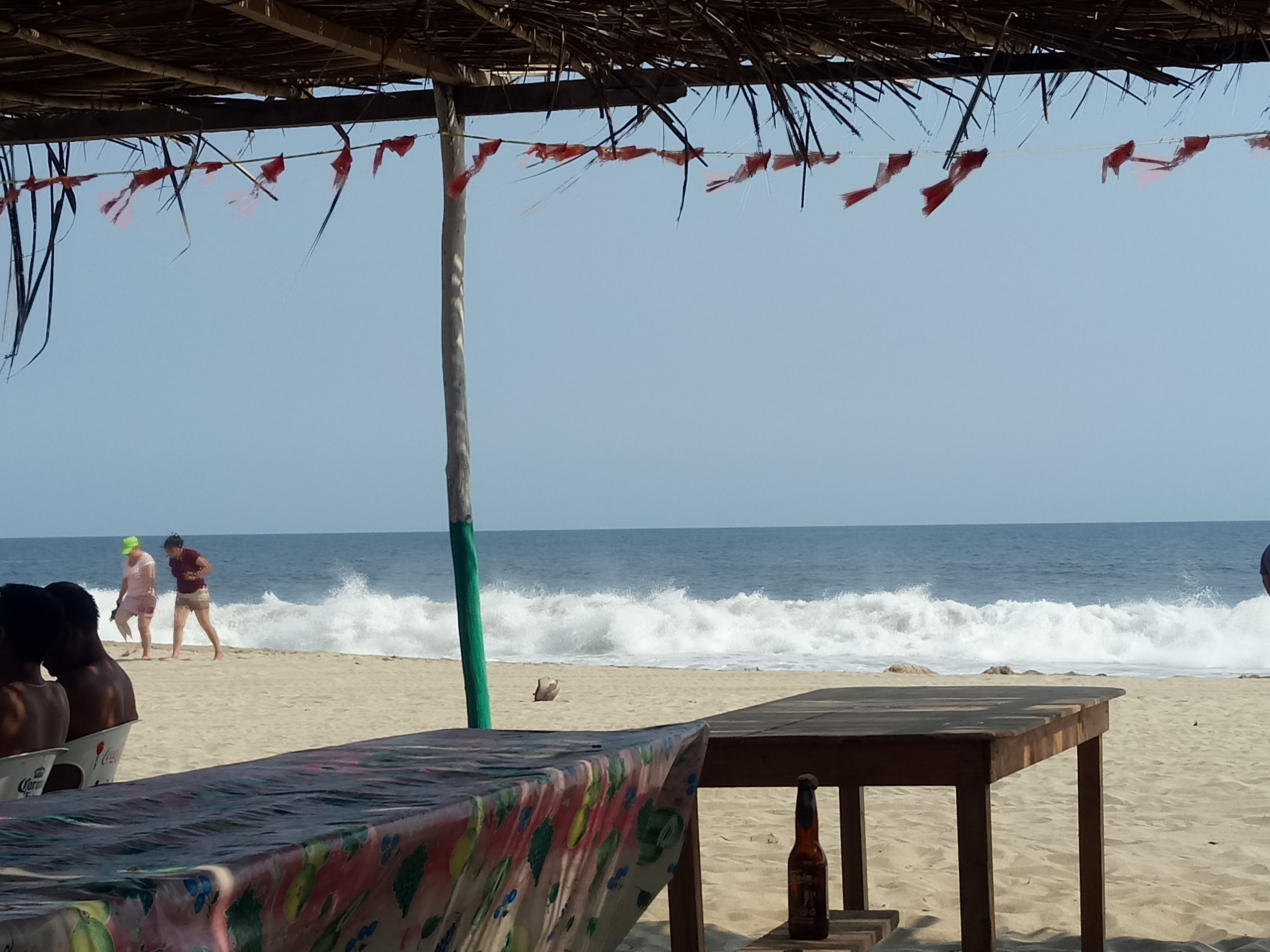 La Flor De La Barra image 5