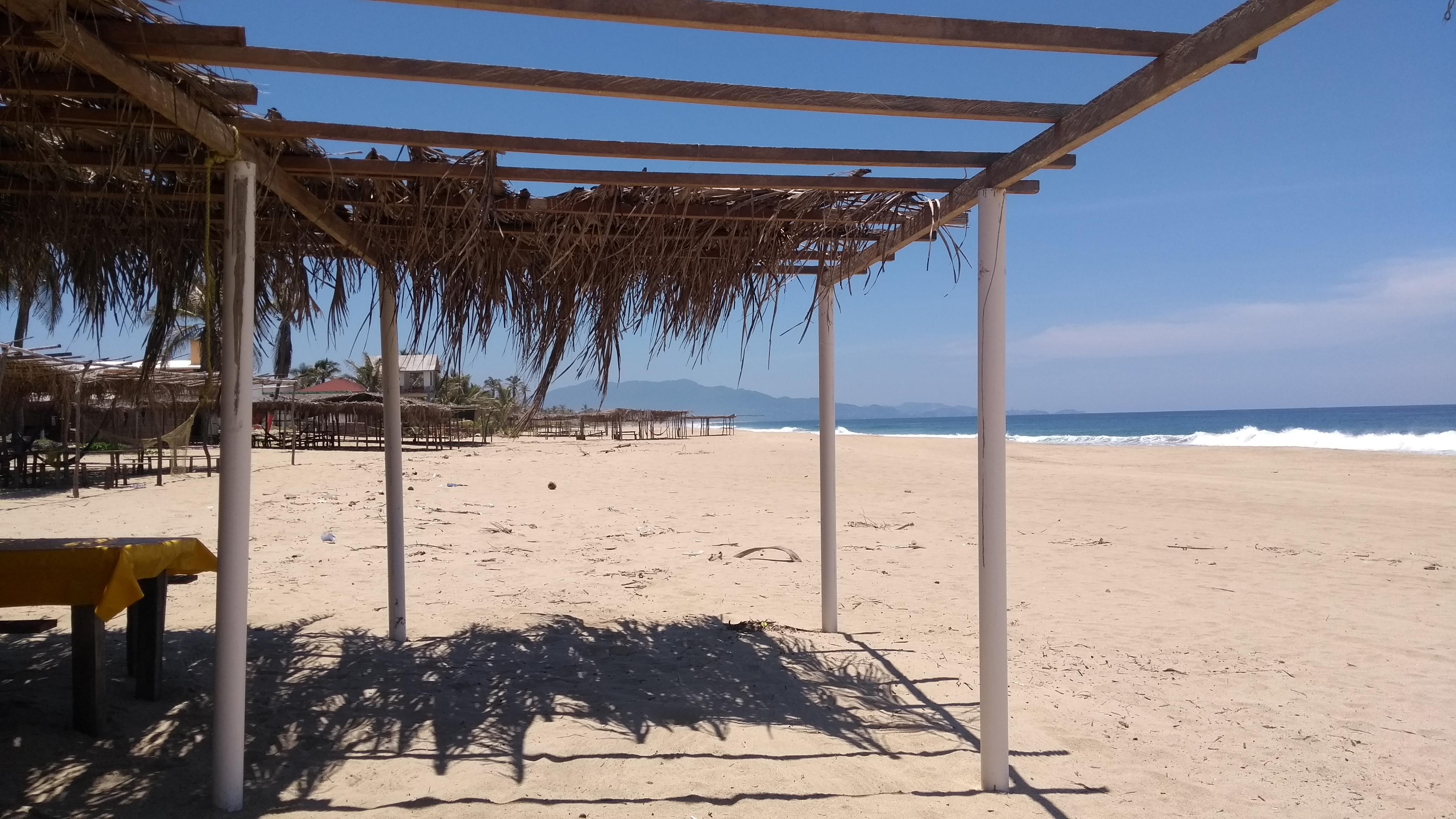 La Flor De La Barra image 10