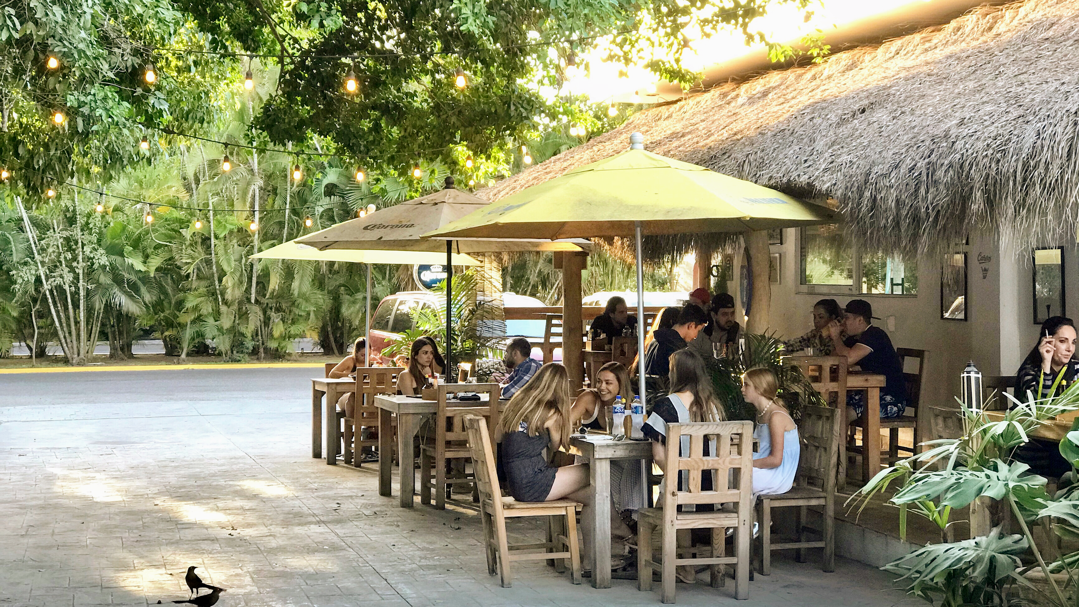 La Ola de Vallarta image 1