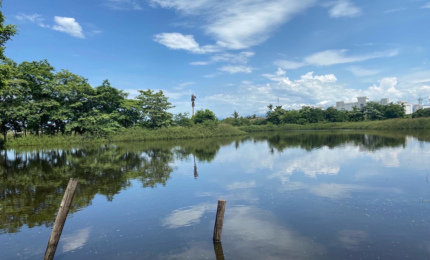 The Blue Shrimp Nuevo Vallarta image 3