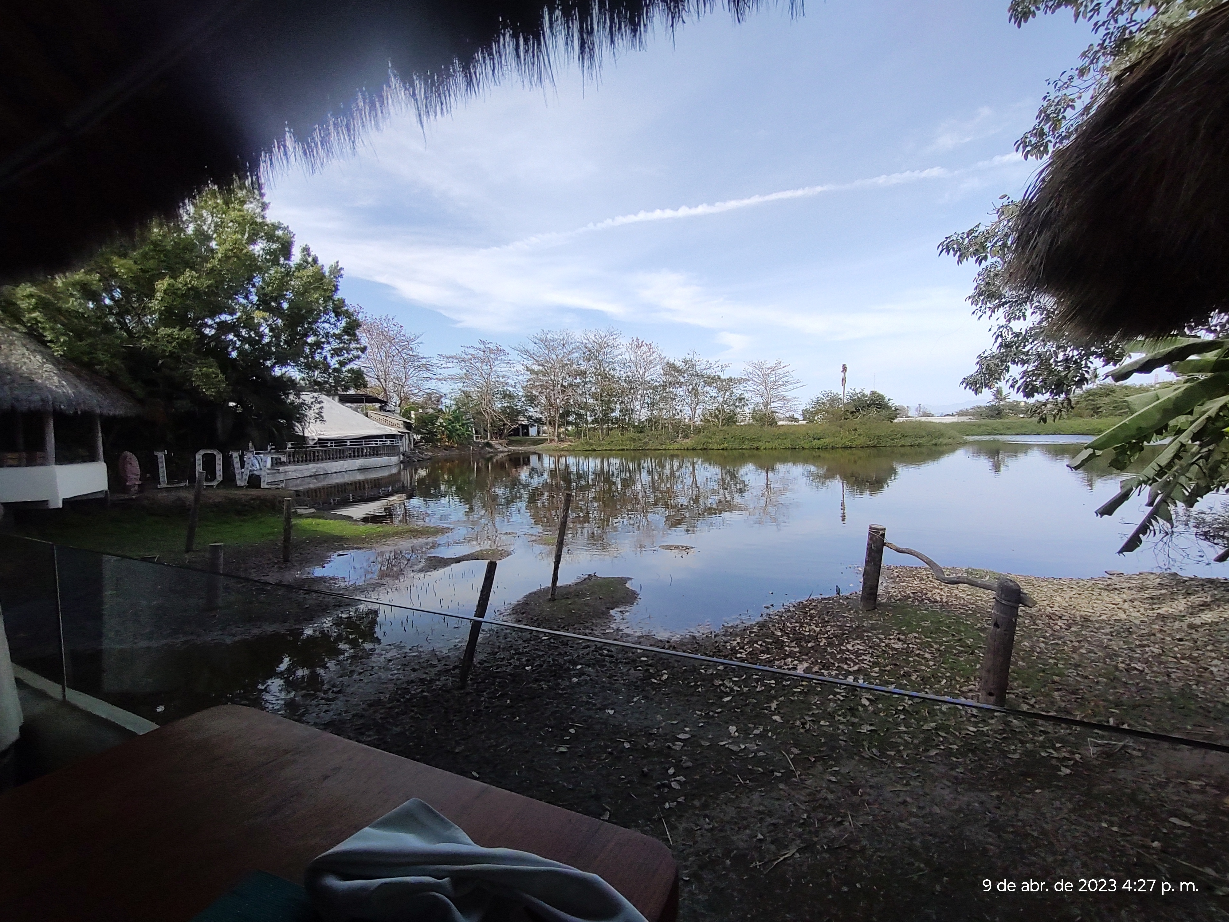 The Blue Shrimp Nuevo Vallarta image 5