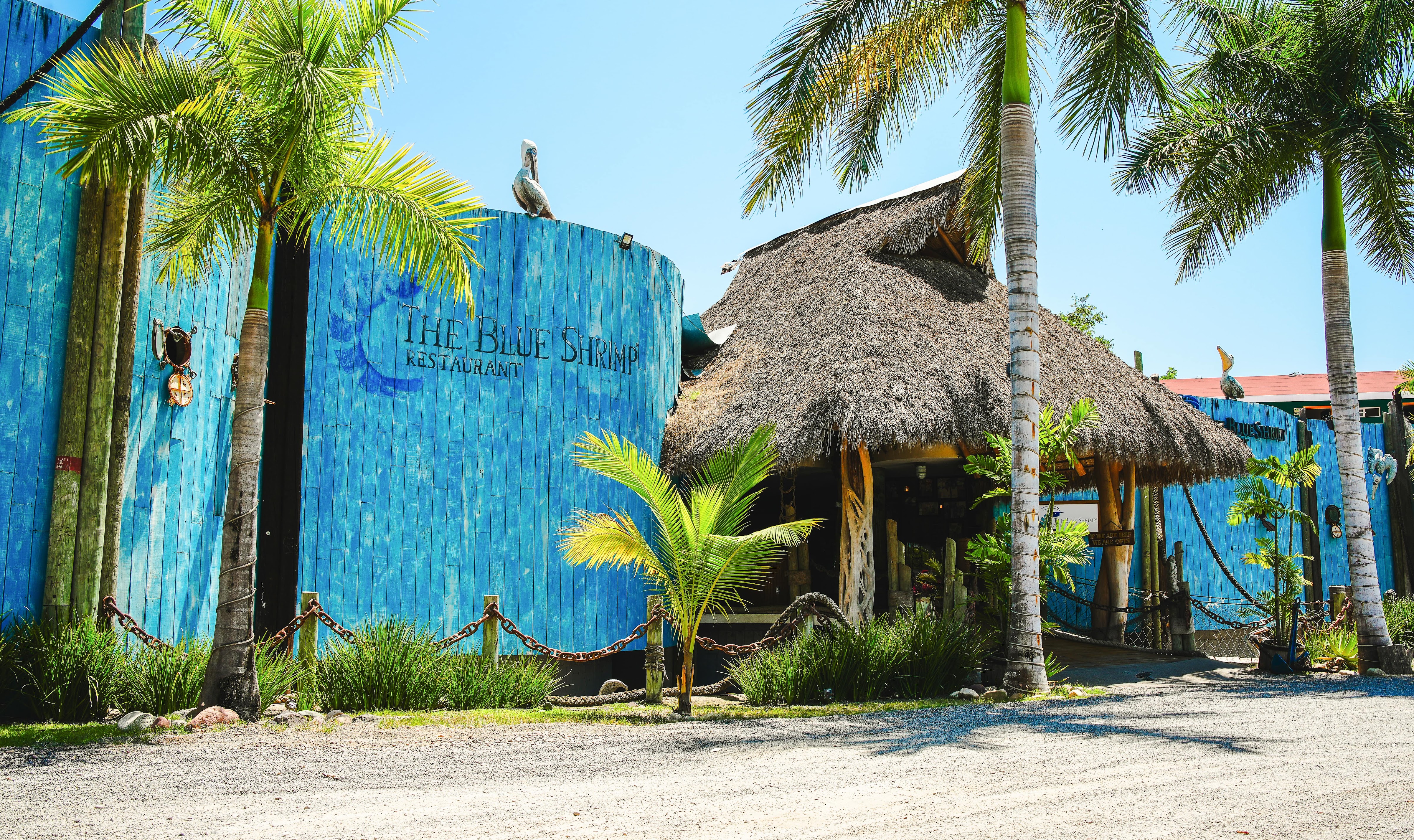 The Blue Shrimp Nuevo Vallarta image 6