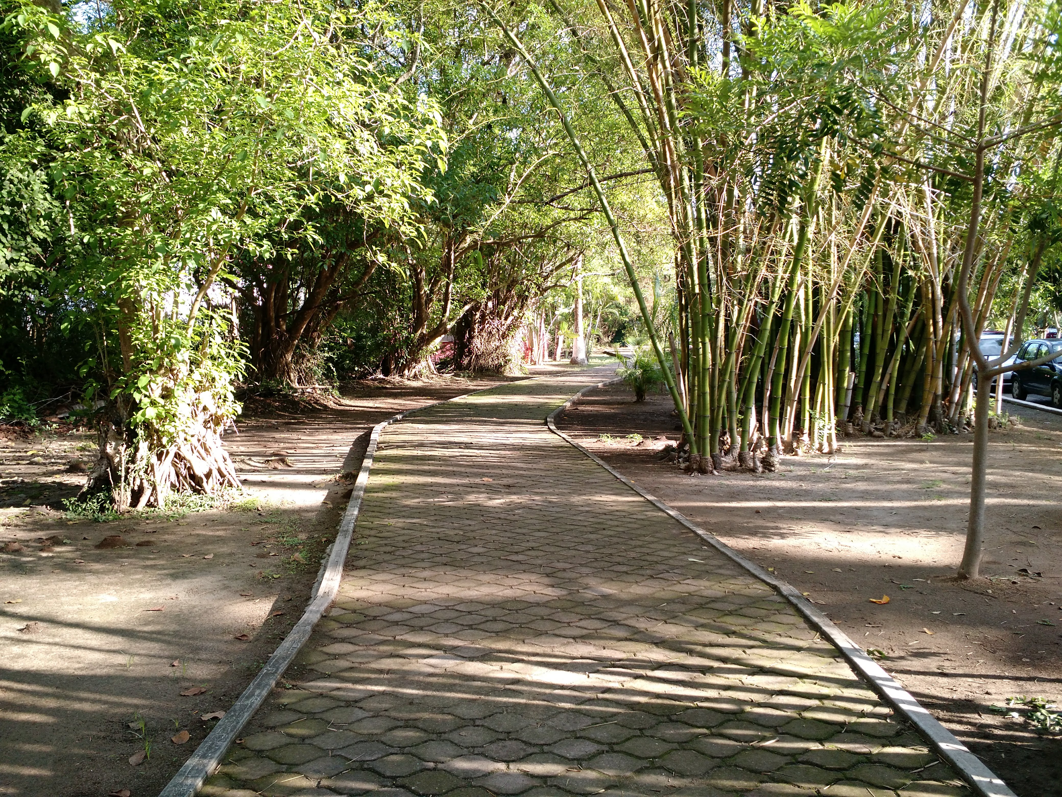 Fibba Club De Playa, Certificada Con Blue Flag image 10