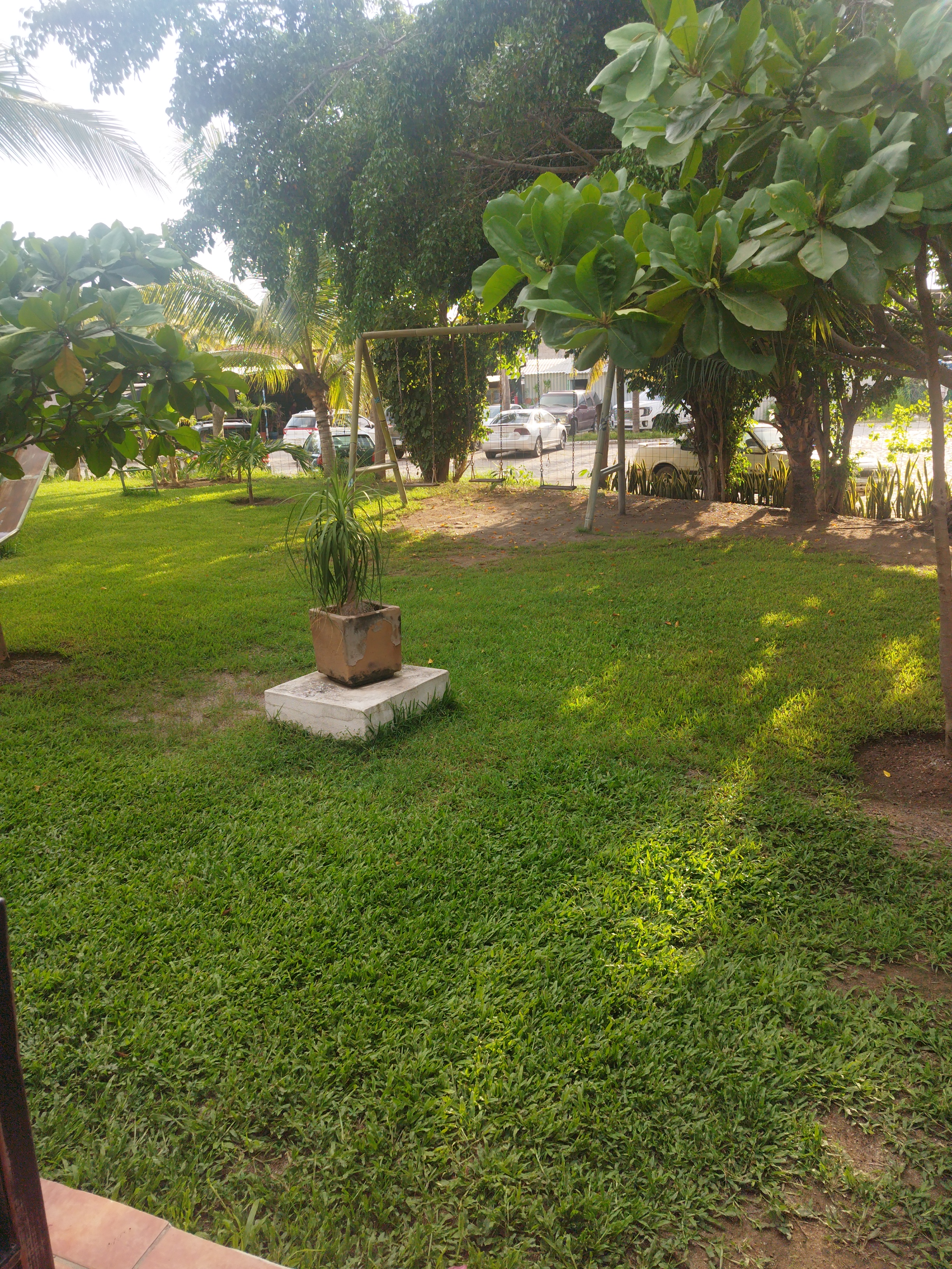 Café Cuates image 9