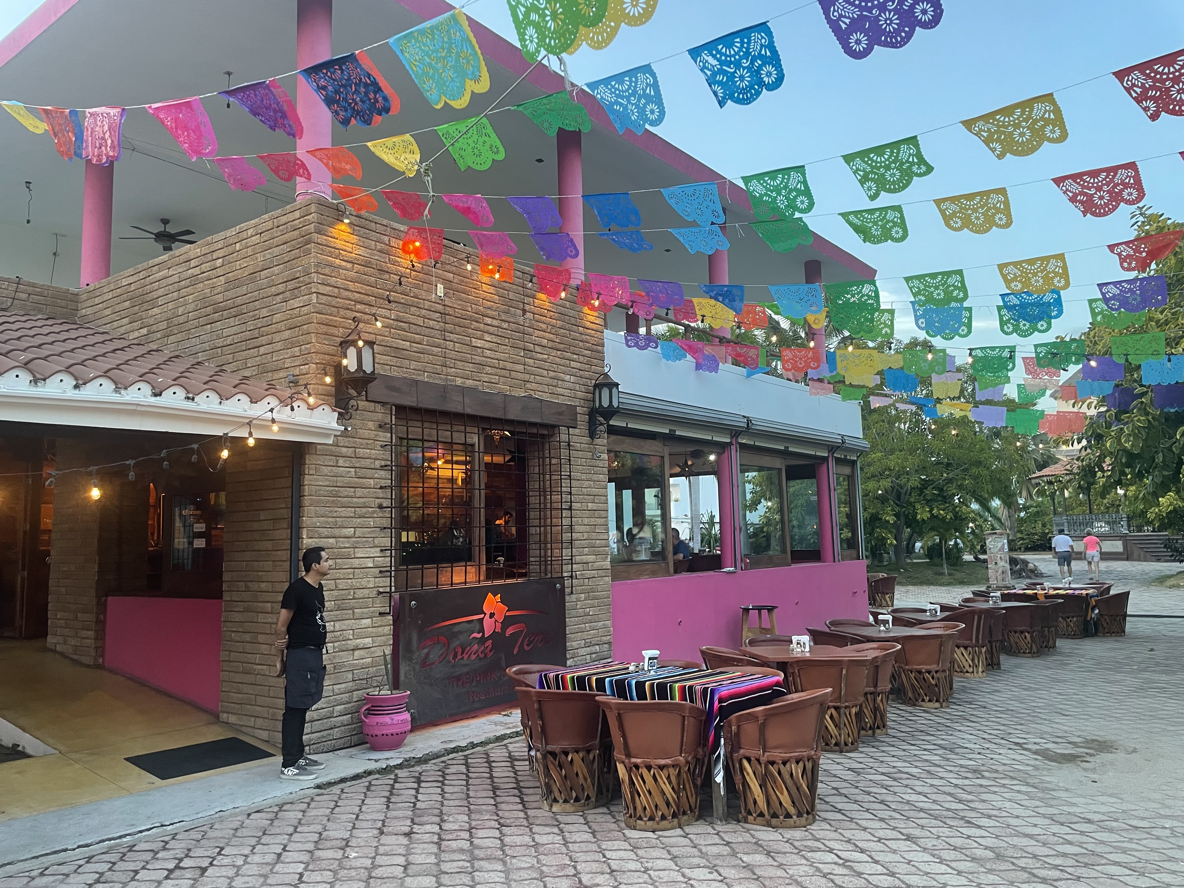 Doña Tere Nuevo Vallarta image 4