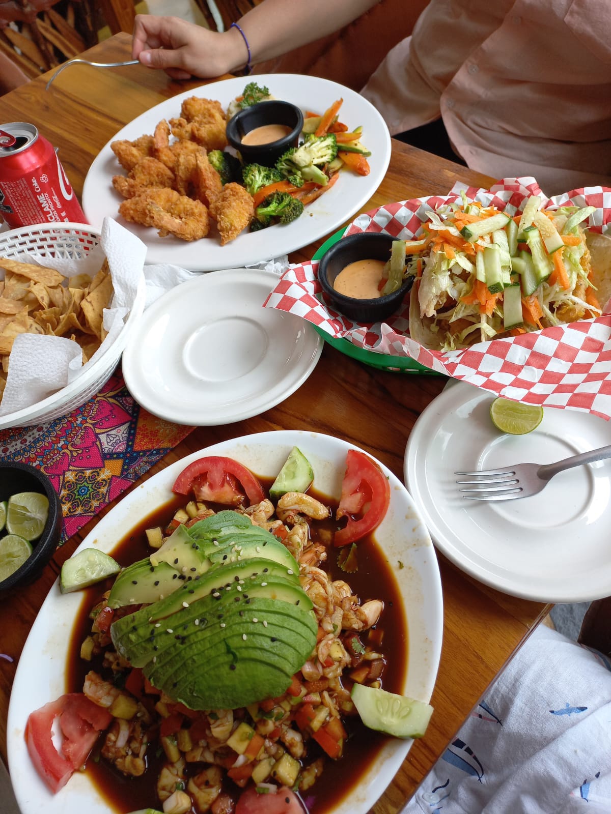 Doña Tere Nuevo Vallarta image 6