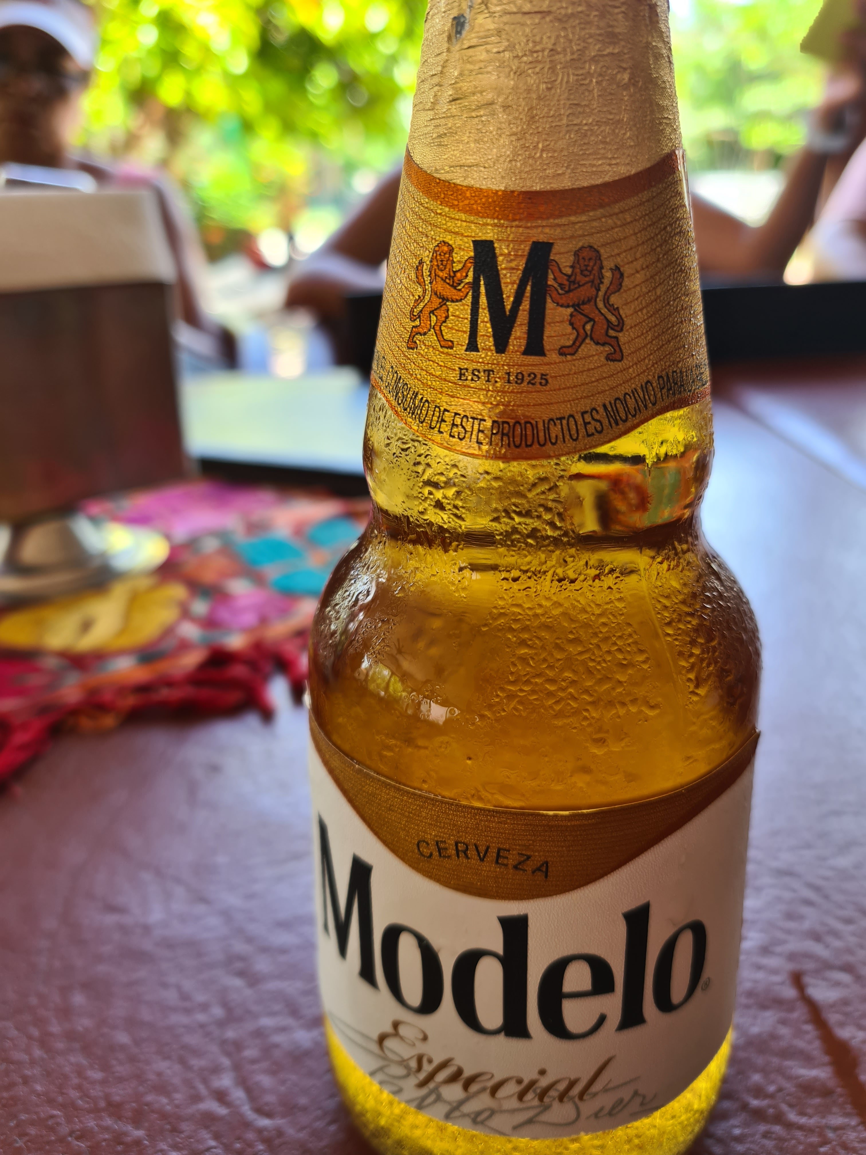 Doña Tere Nuevo Vallarta image 7