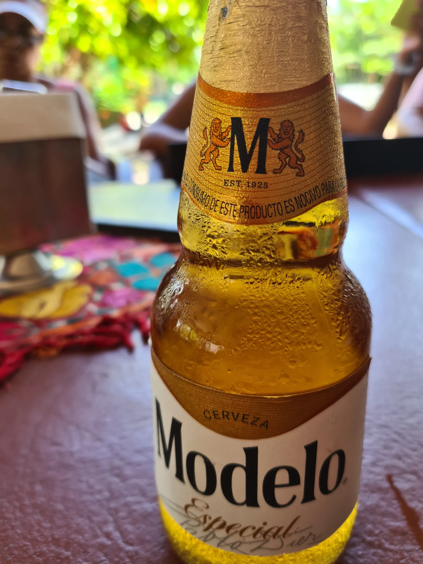 Doña Tere Nuevo Vallarta image 7