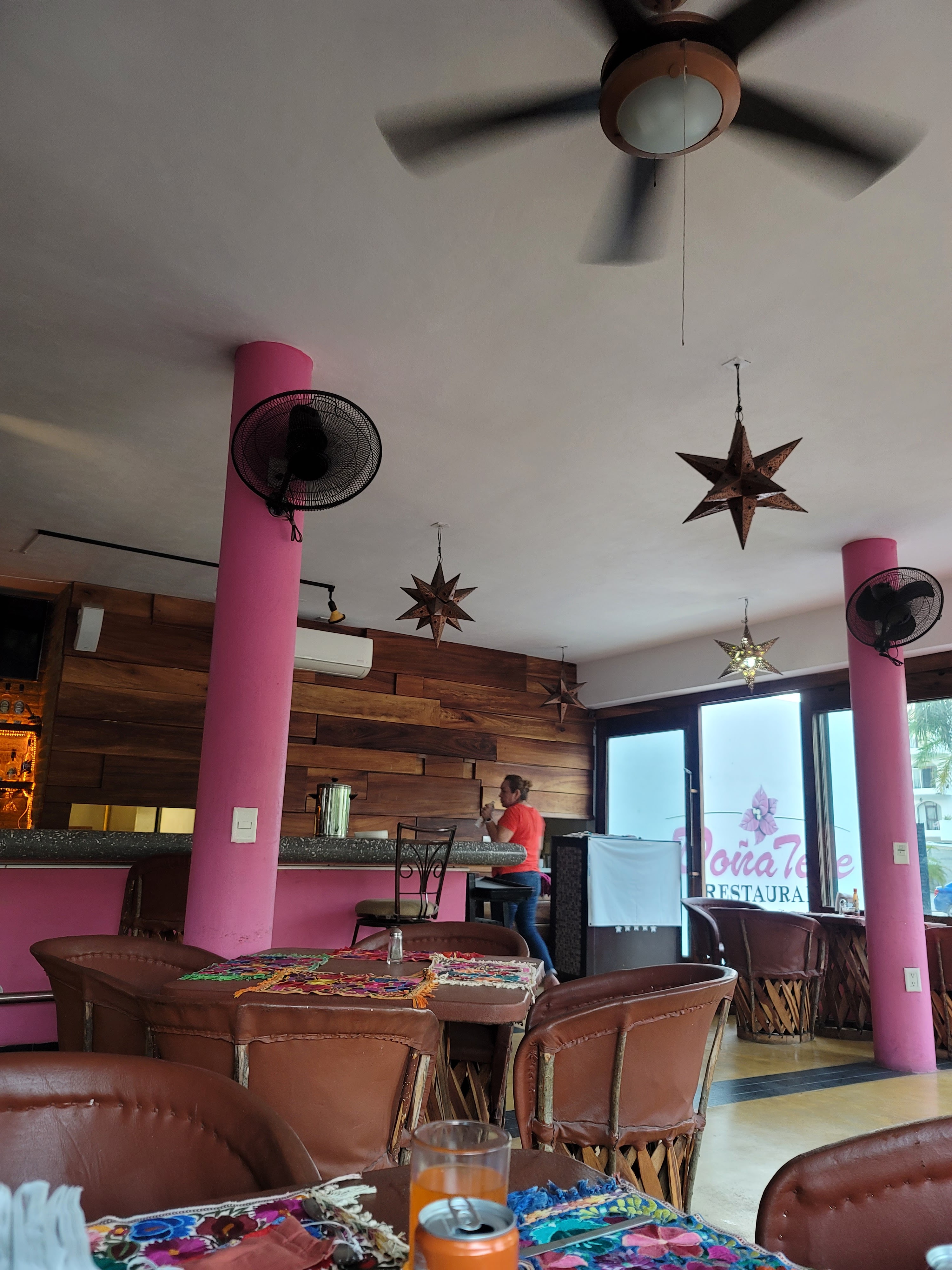 Doña Tere Nuevo Vallarta image 8