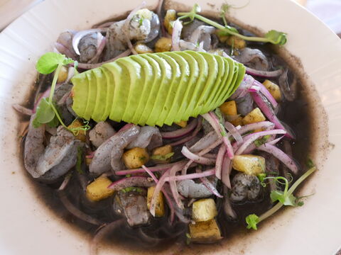 Tino's La Laguna image 8