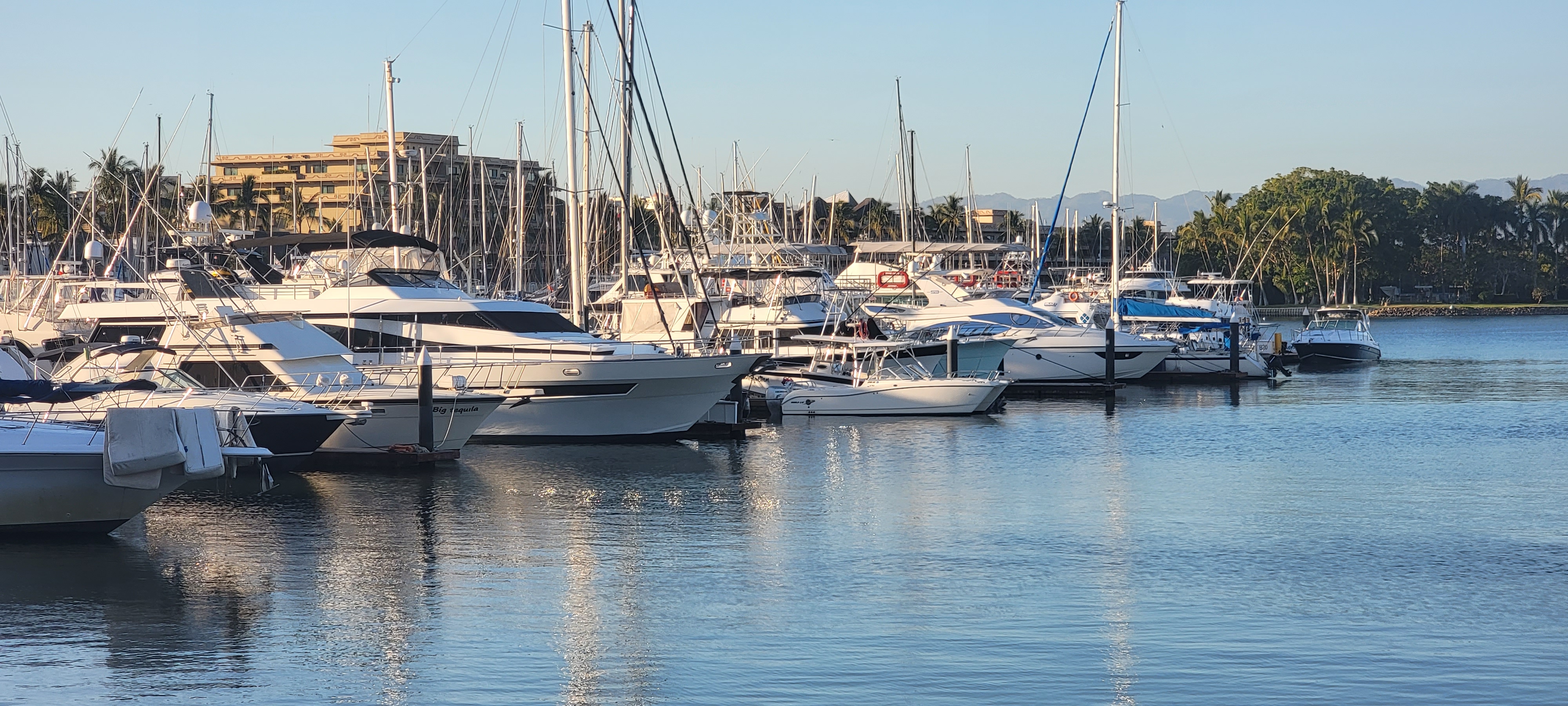 IL Padrino Di Vallarta image 10