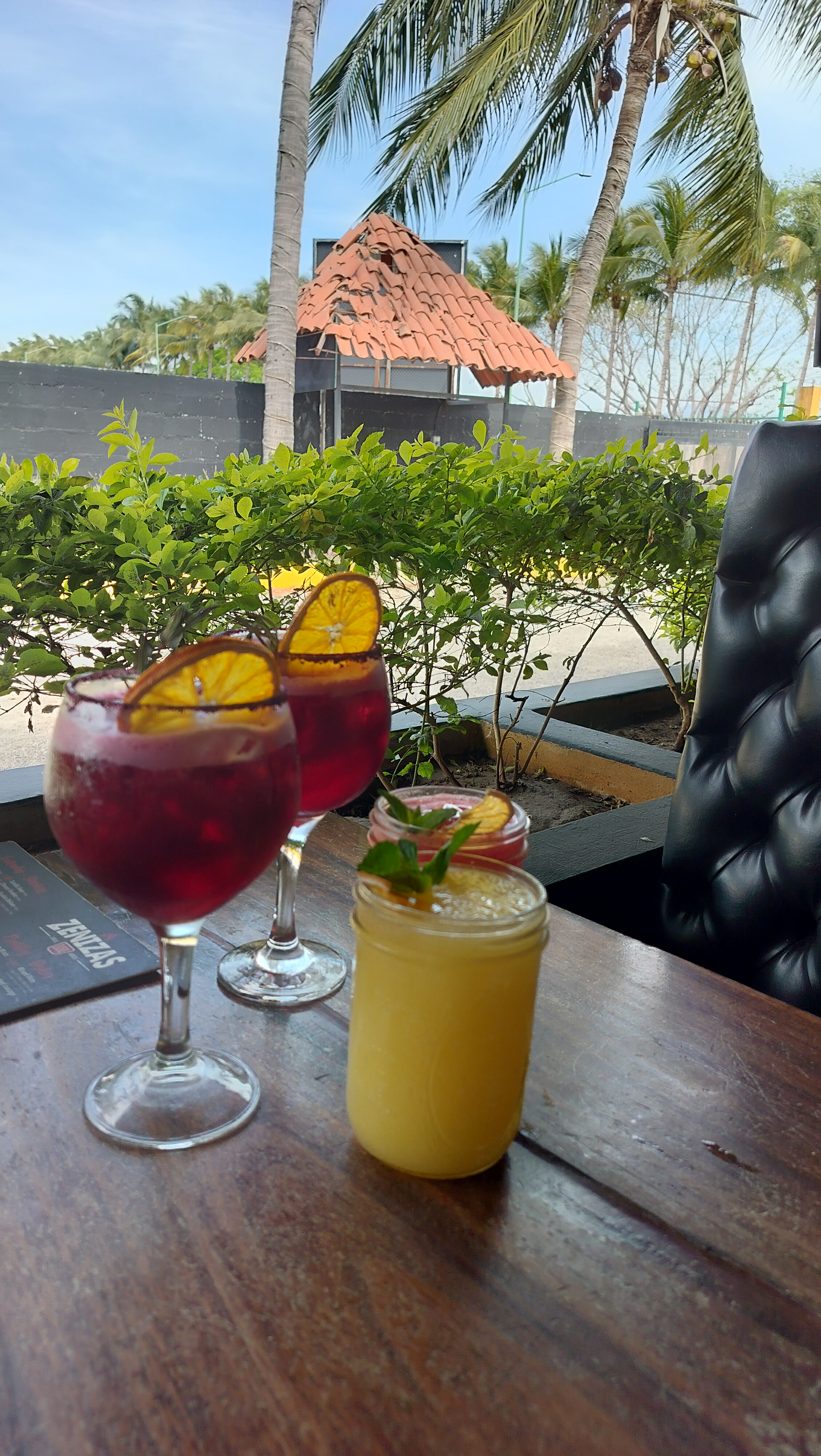 Zenizas Nvo. Vallarta image 10