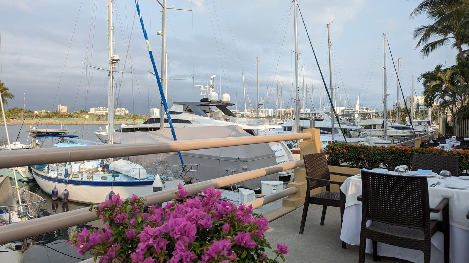 Il Pescatore Restorante image 3