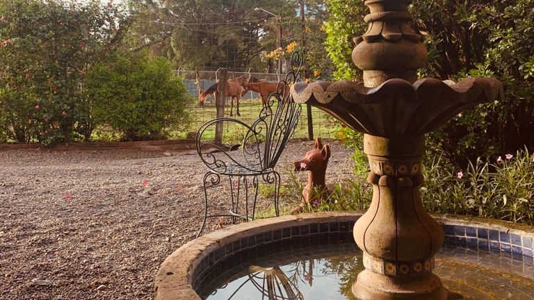 Hacienda Mamá Nena image 4