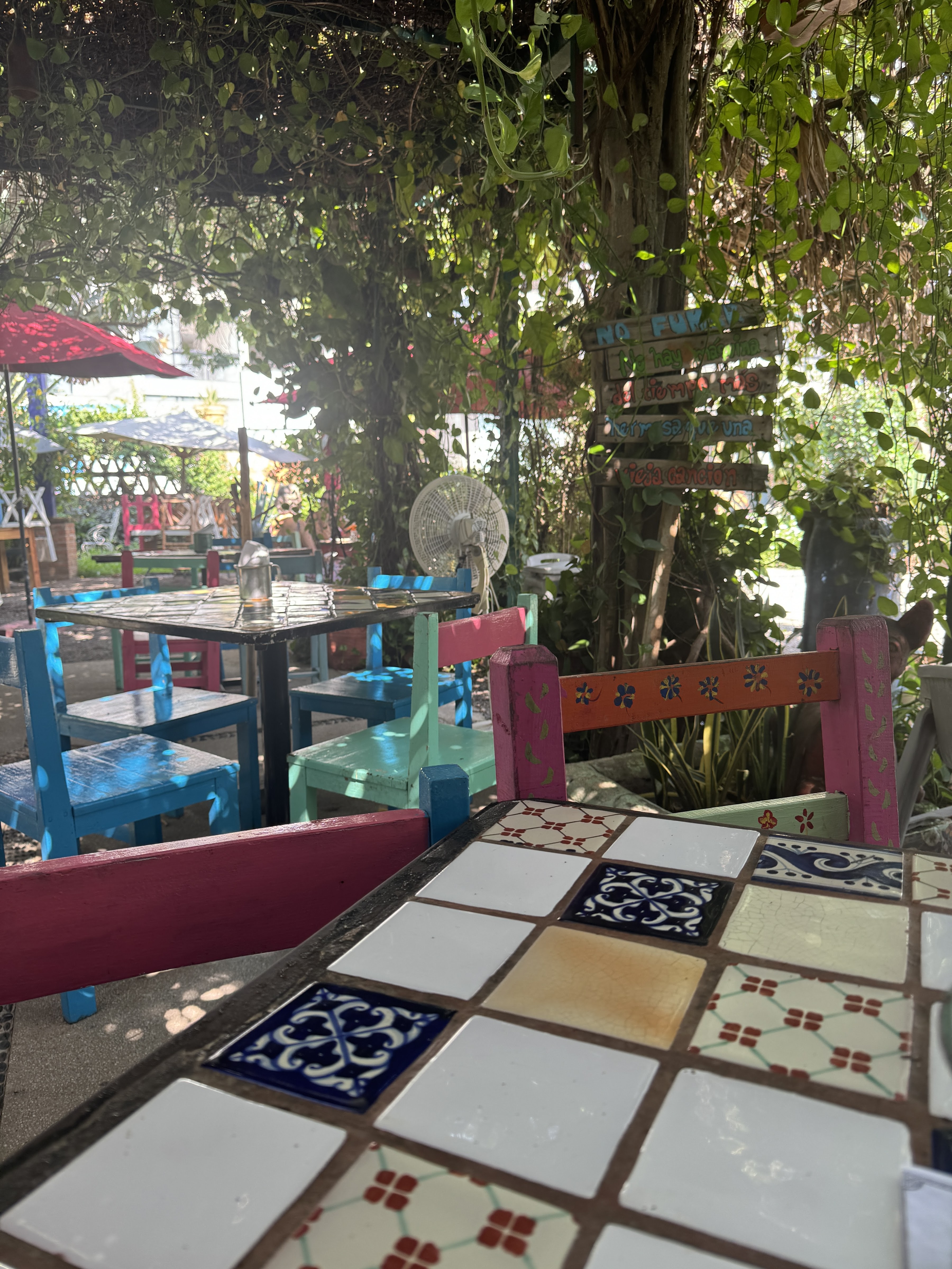 Hacienda Mamá Nena image 6