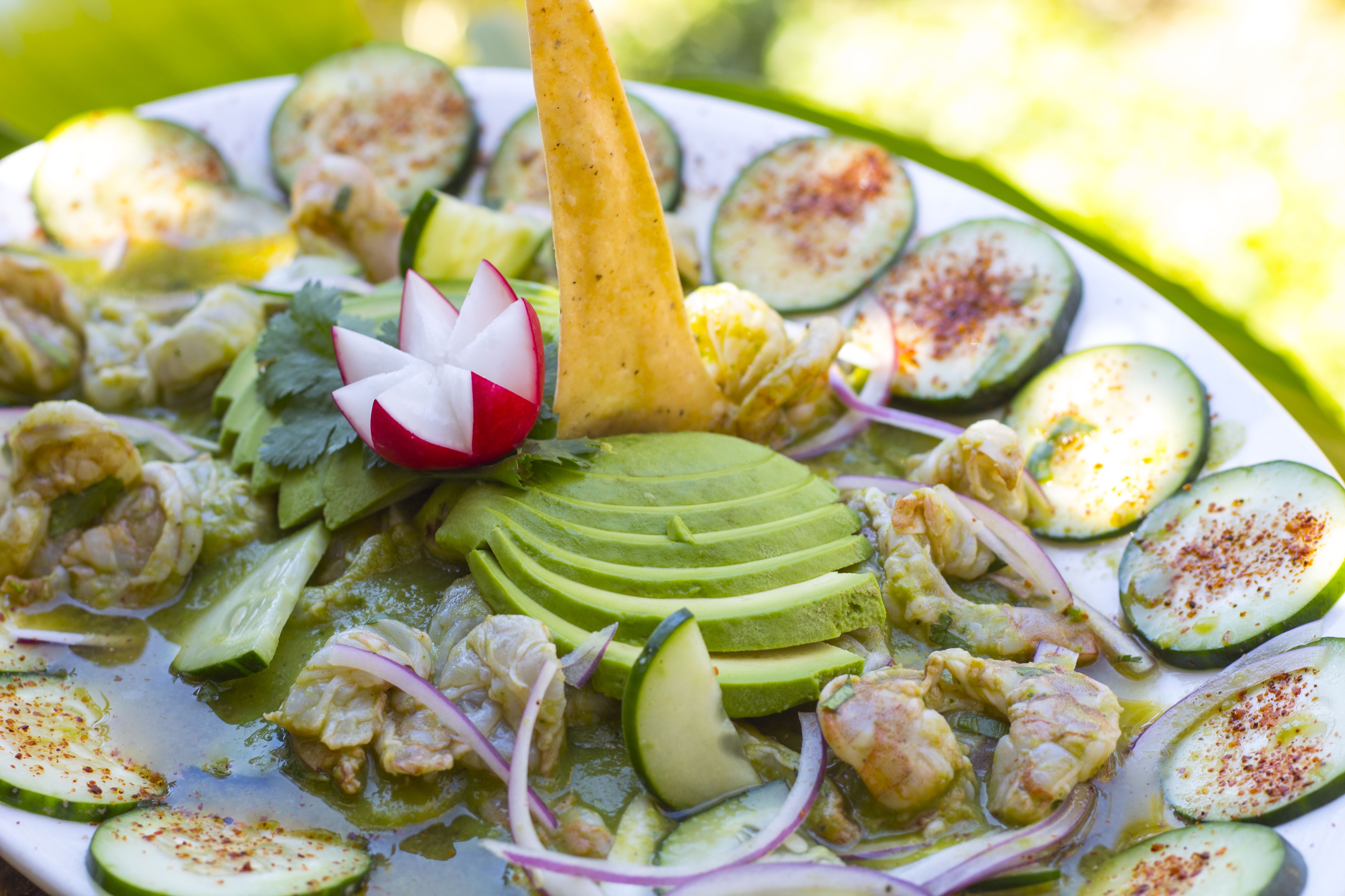 Hacienda Mamá Nena image 10