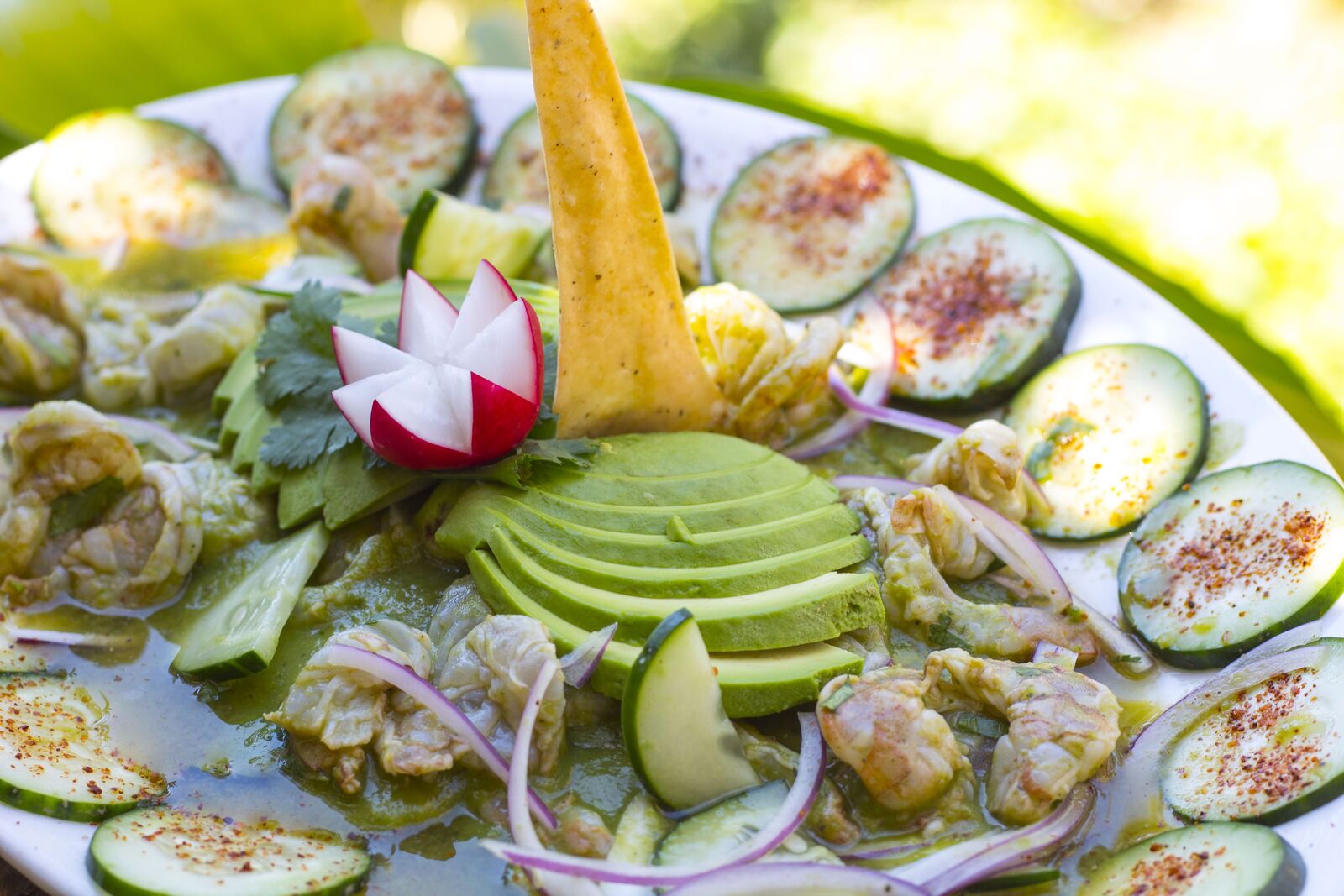 Hacienda Mamá Nena image 10