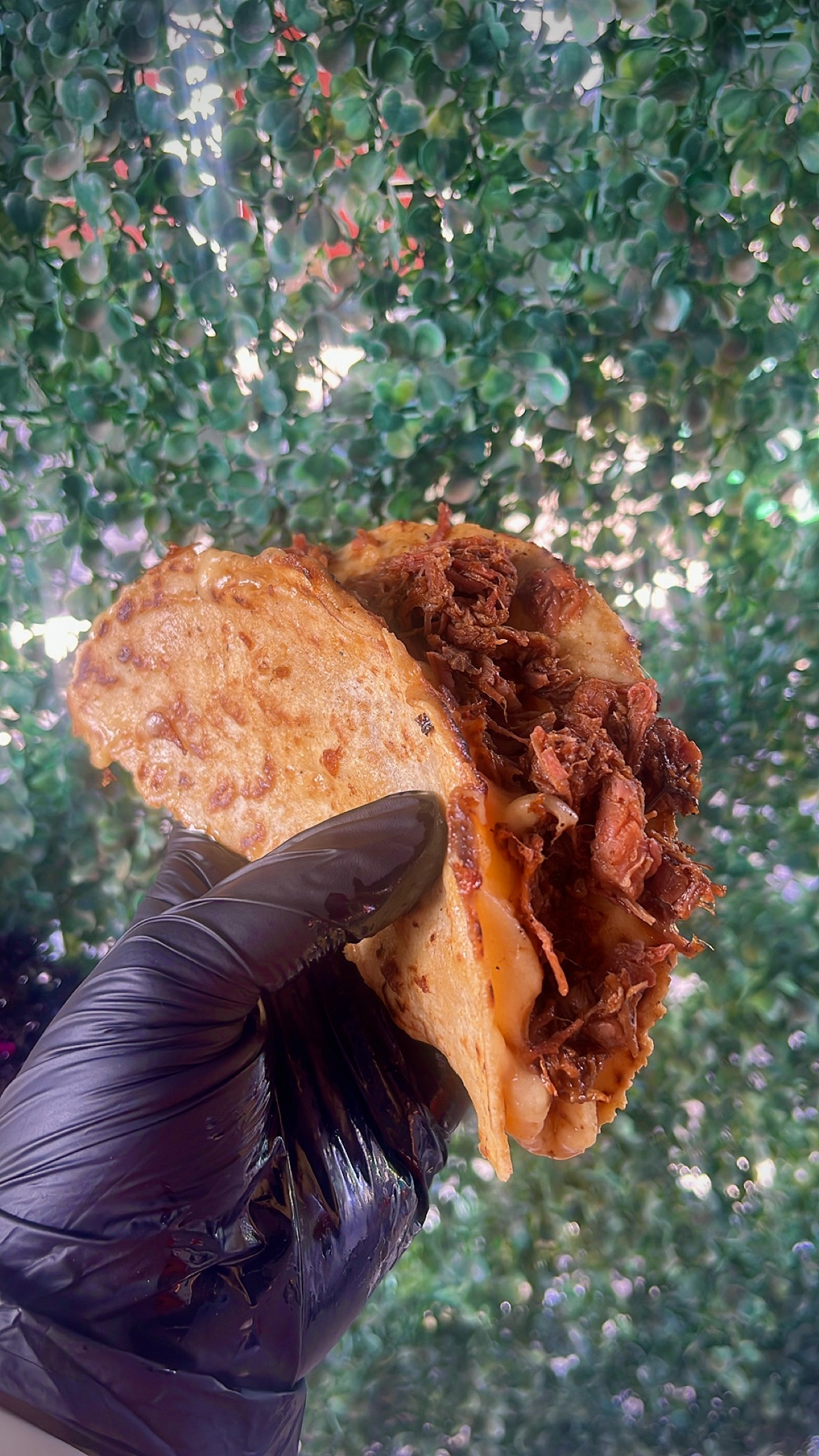 Taqueria Pulido Centenario image 7