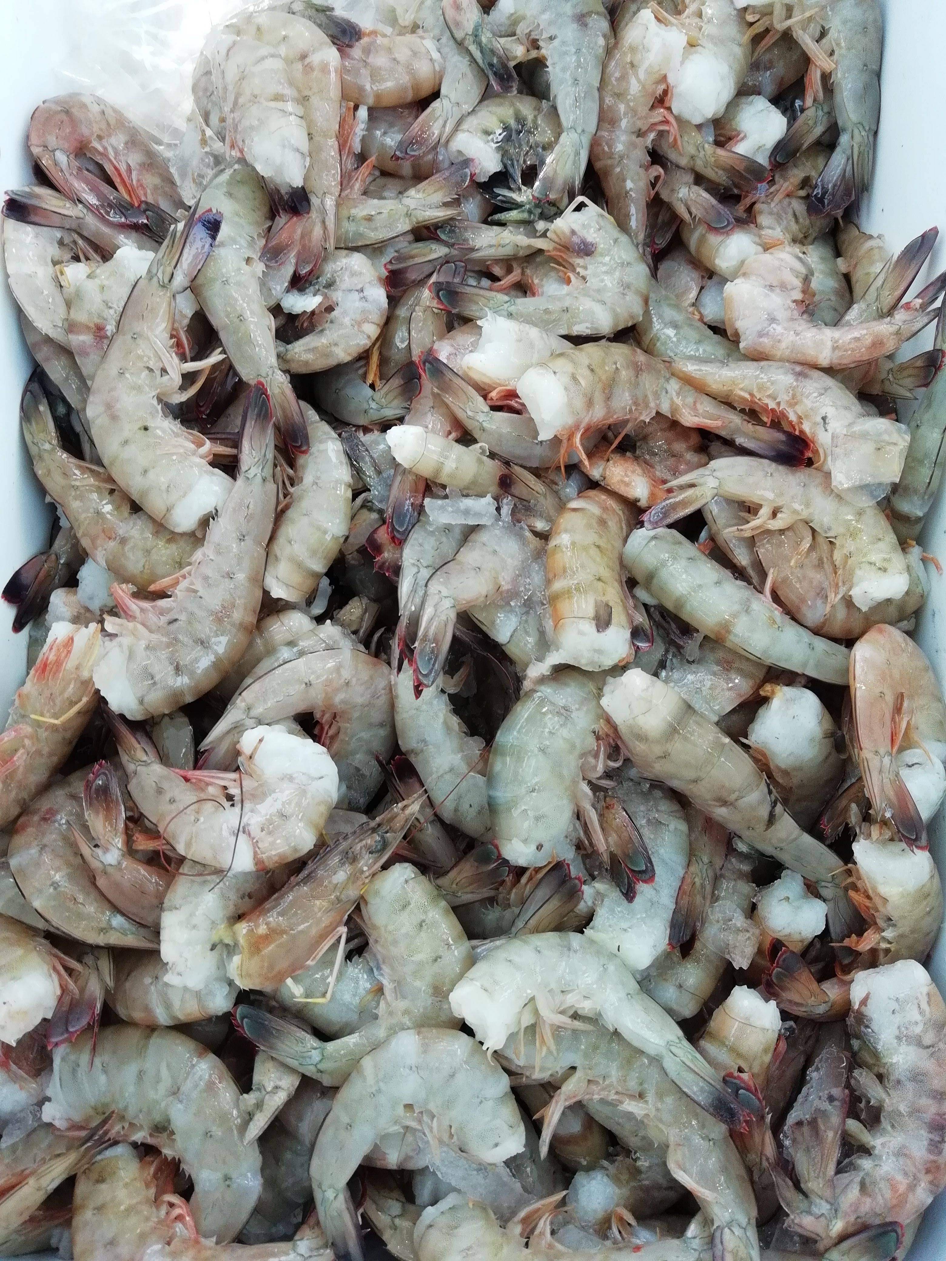 Mariscos Frescos "El Ancla" image 4