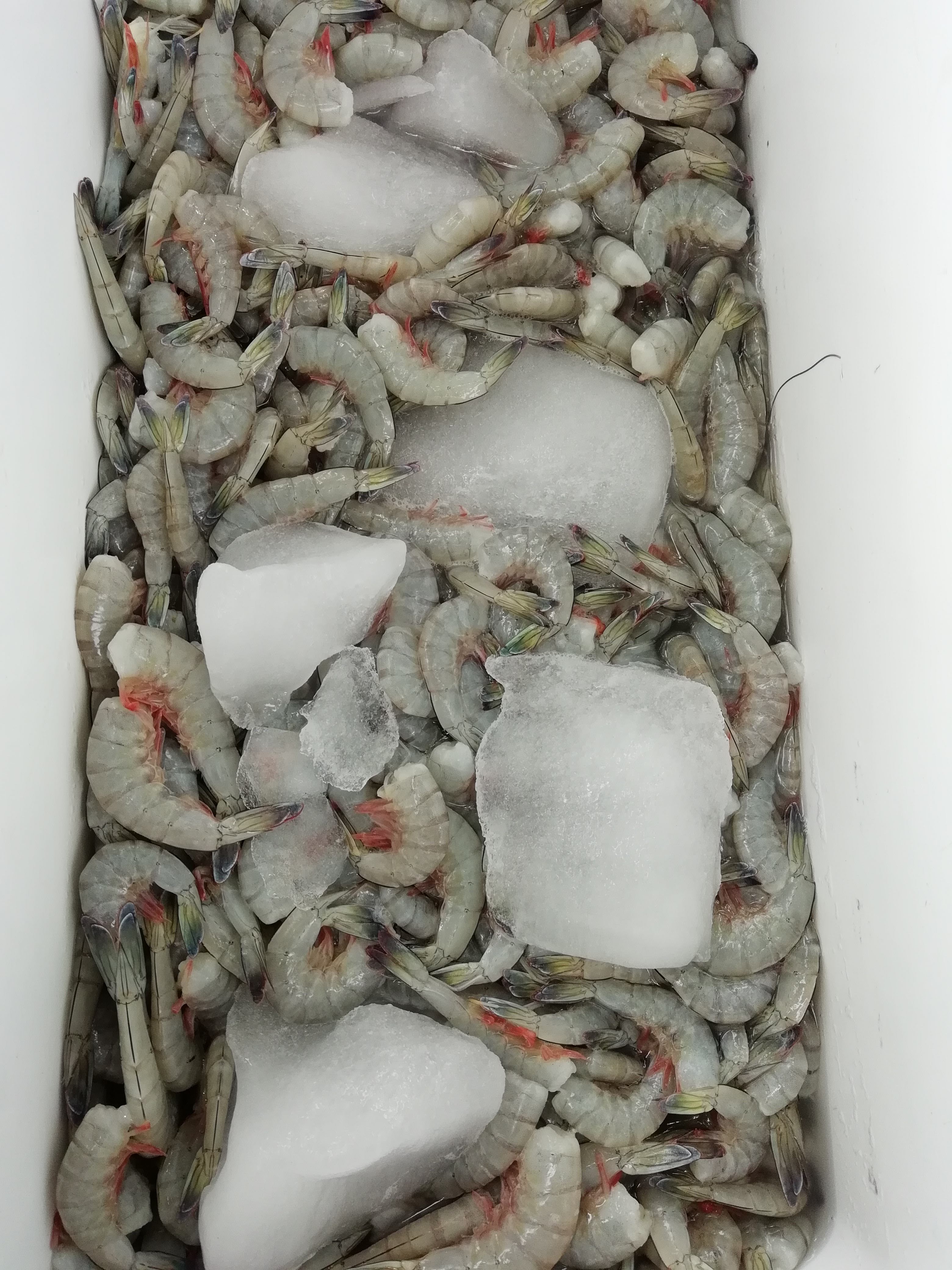 Mariscos Frescos "El Ancla" image 6