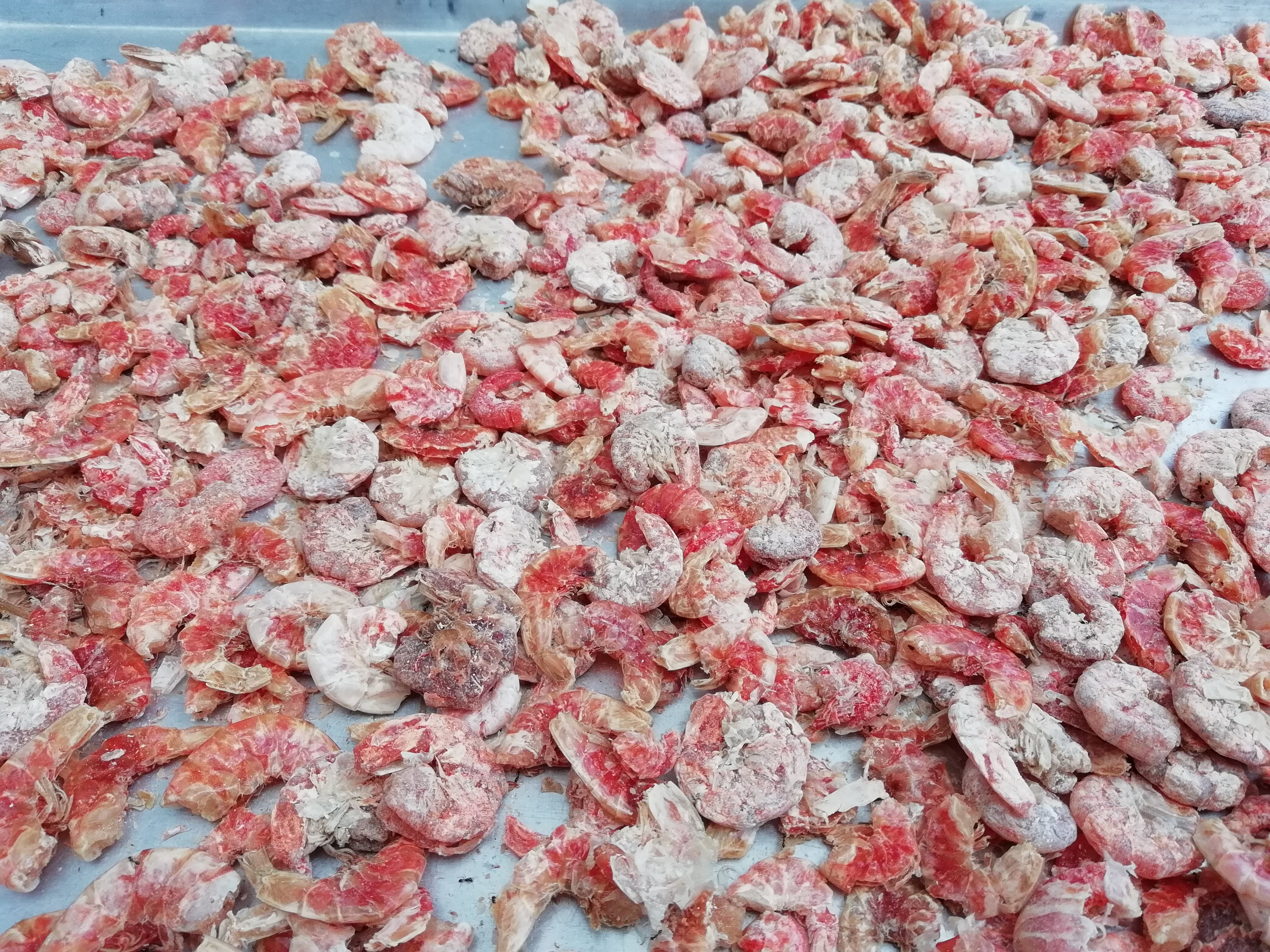 Mariscos Frescos "El Ancla" image 9