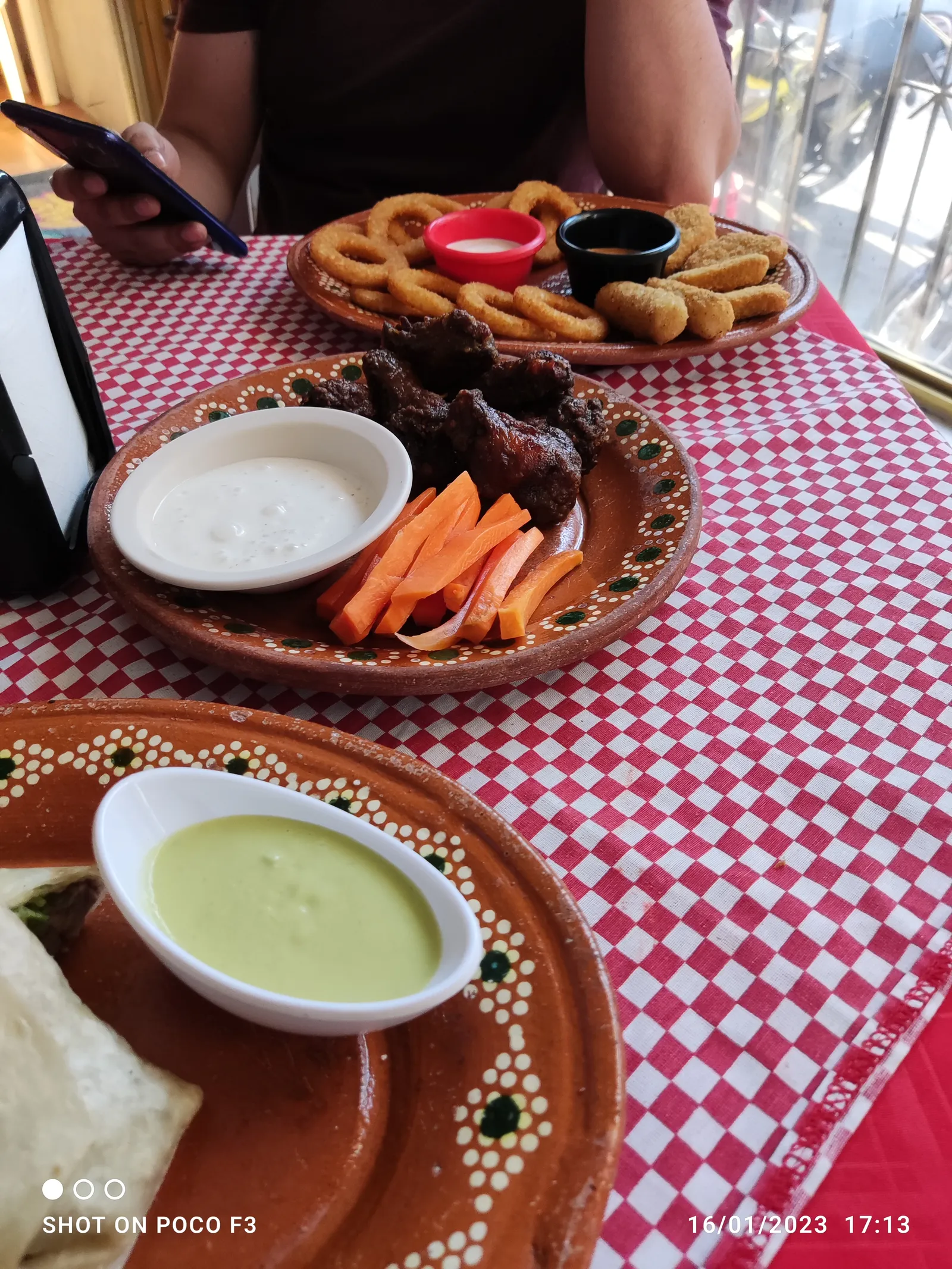 LAS ALITAS DE GUS image 5
