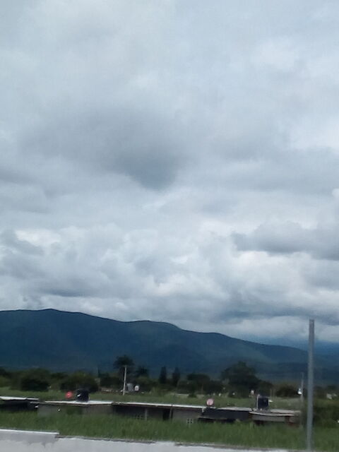 La Viga image 5