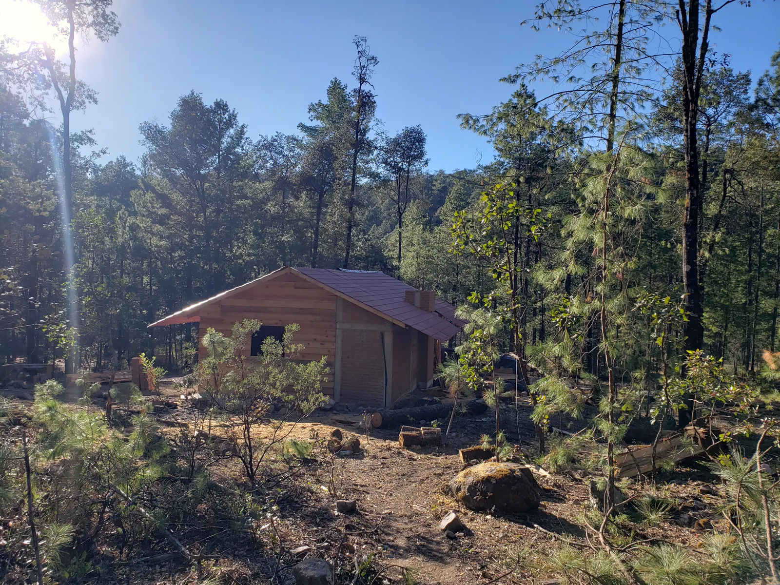 Los mimbres image 2