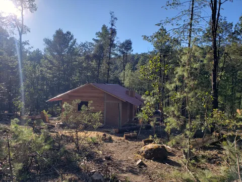 Los mimbres image 2