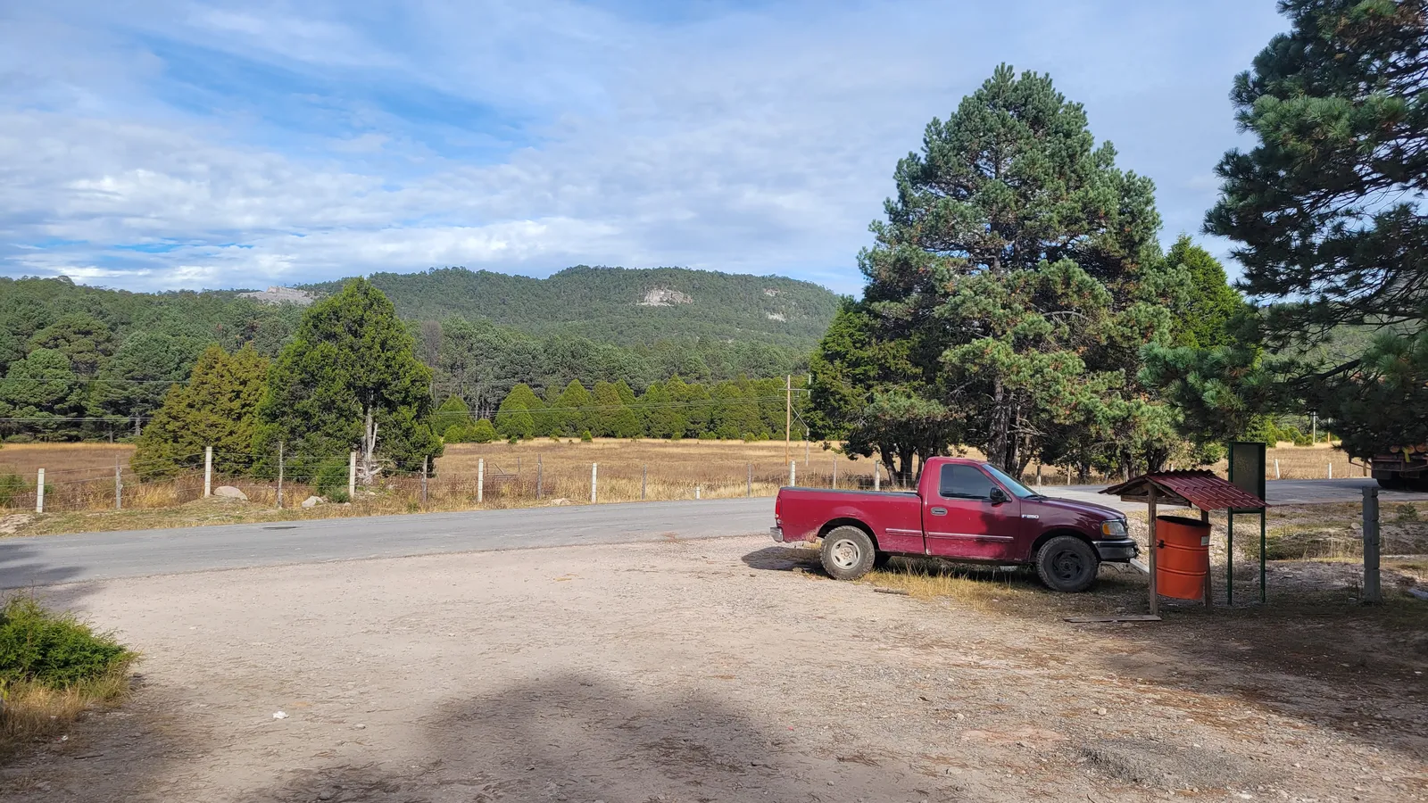 Los mimbres image 3