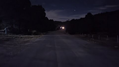 Los mimbres image 5