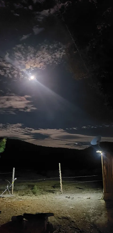 Los mimbres image 8