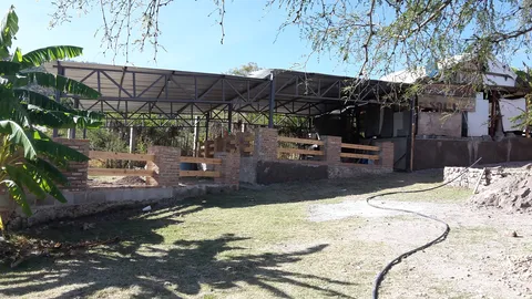 restaurante EL SHONSHEO image 4