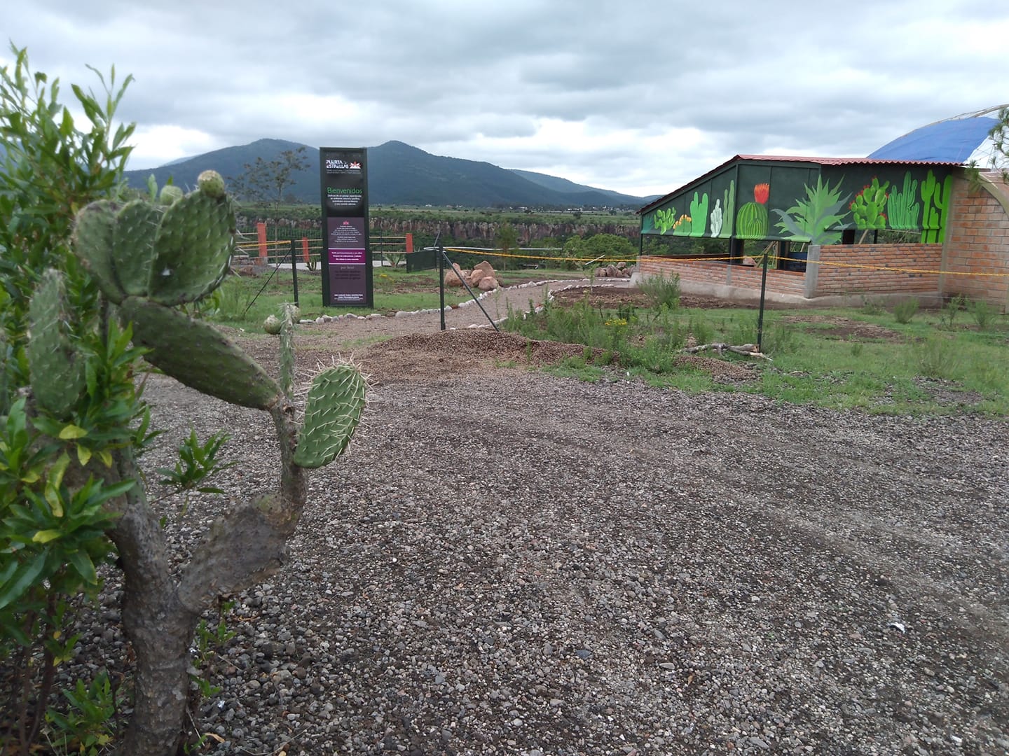 Puerta de Estrellas image 3
