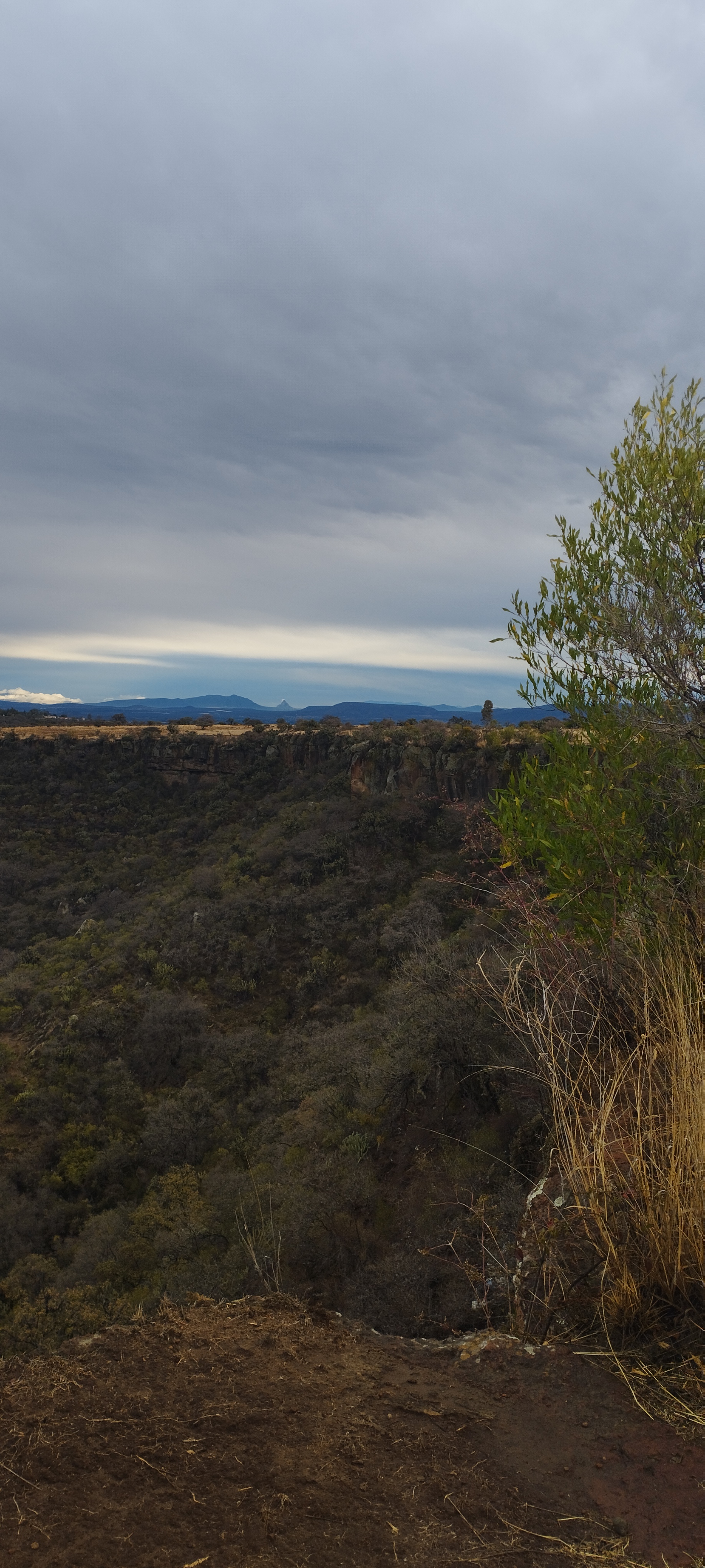 Puerta de Estrellas image 10