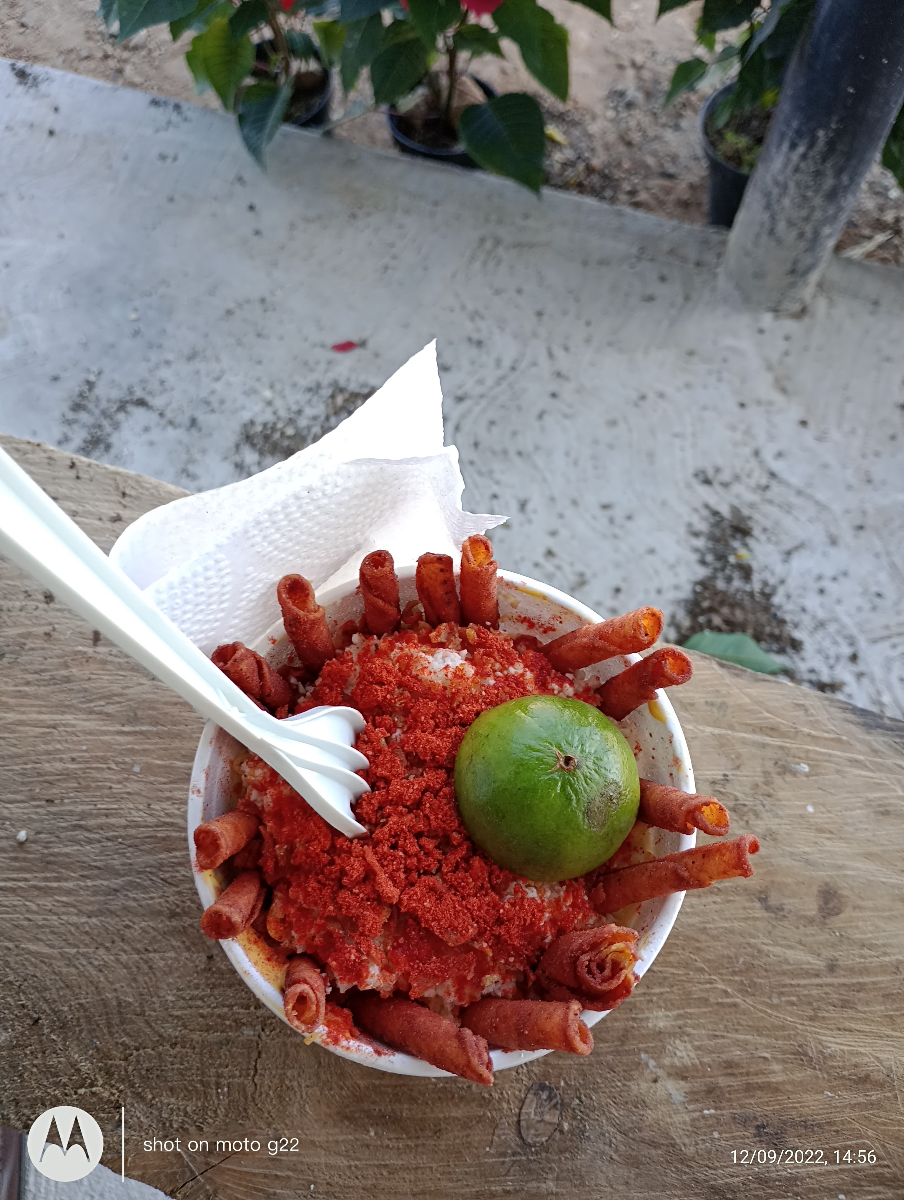 MOLE DE OLLA COMIDA Y ELOTES EL CAMARÓN EL image 7