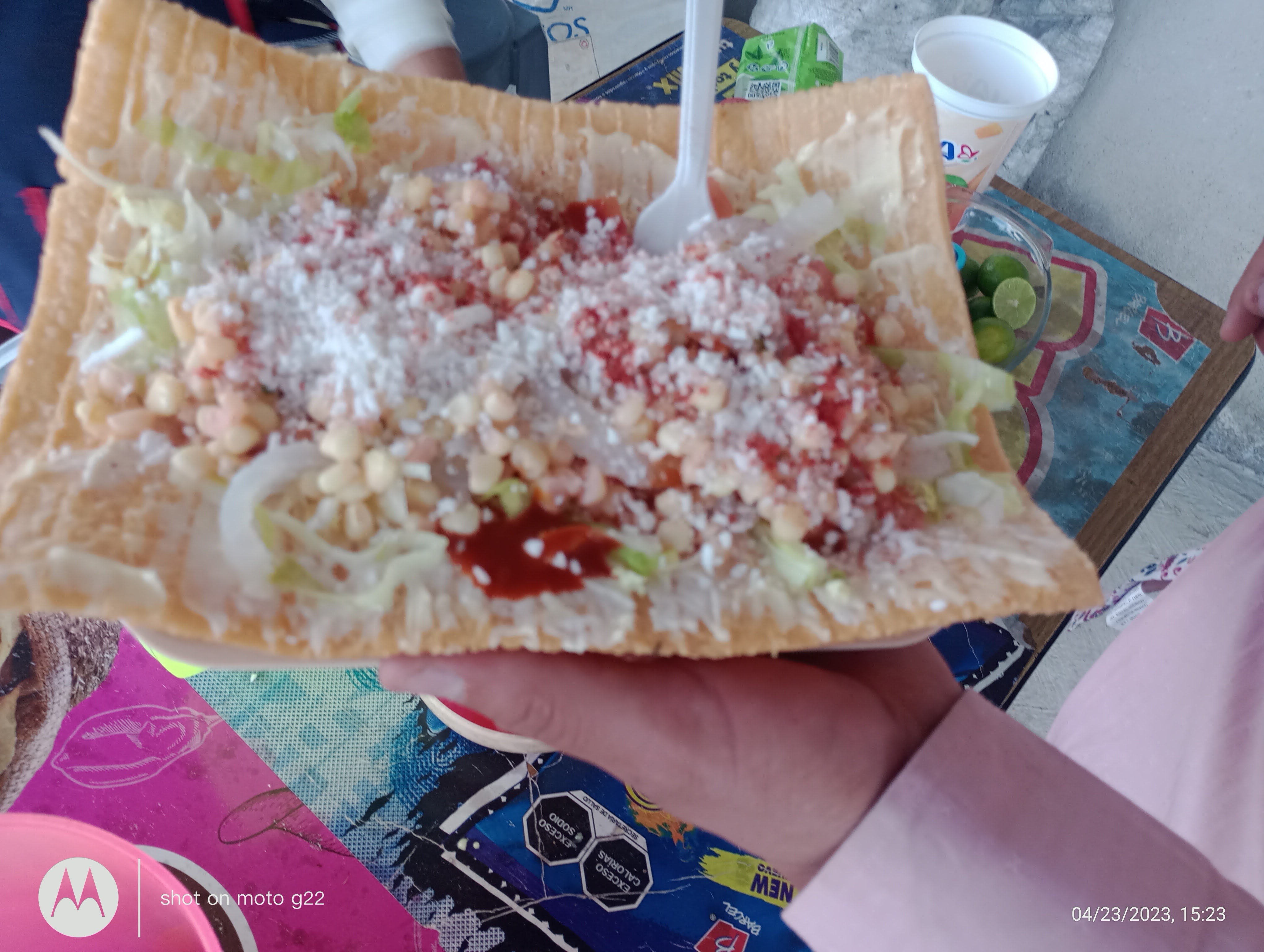 MOLE DE OLLA COMIDA Y ELOTES EL CAMARÓN EL image 8