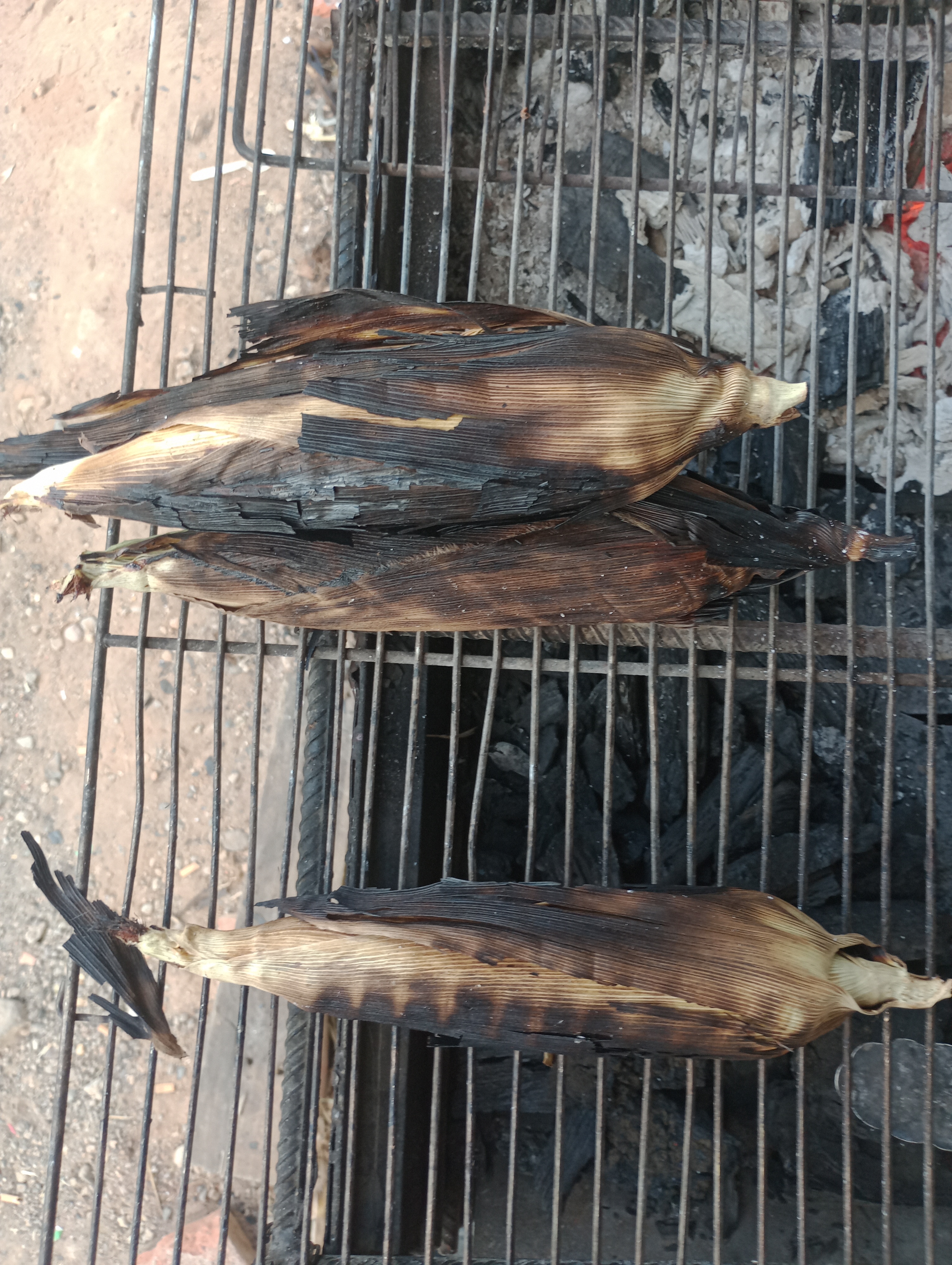 MOLE DE OLLA COMIDA Y ELOTES EL CAMARÓN EL image 10