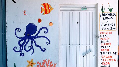 Pescados y Mariscos Navarro image 2