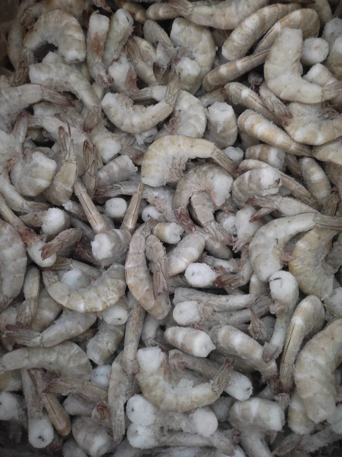 Pescados y Mariscos Navarro image 4